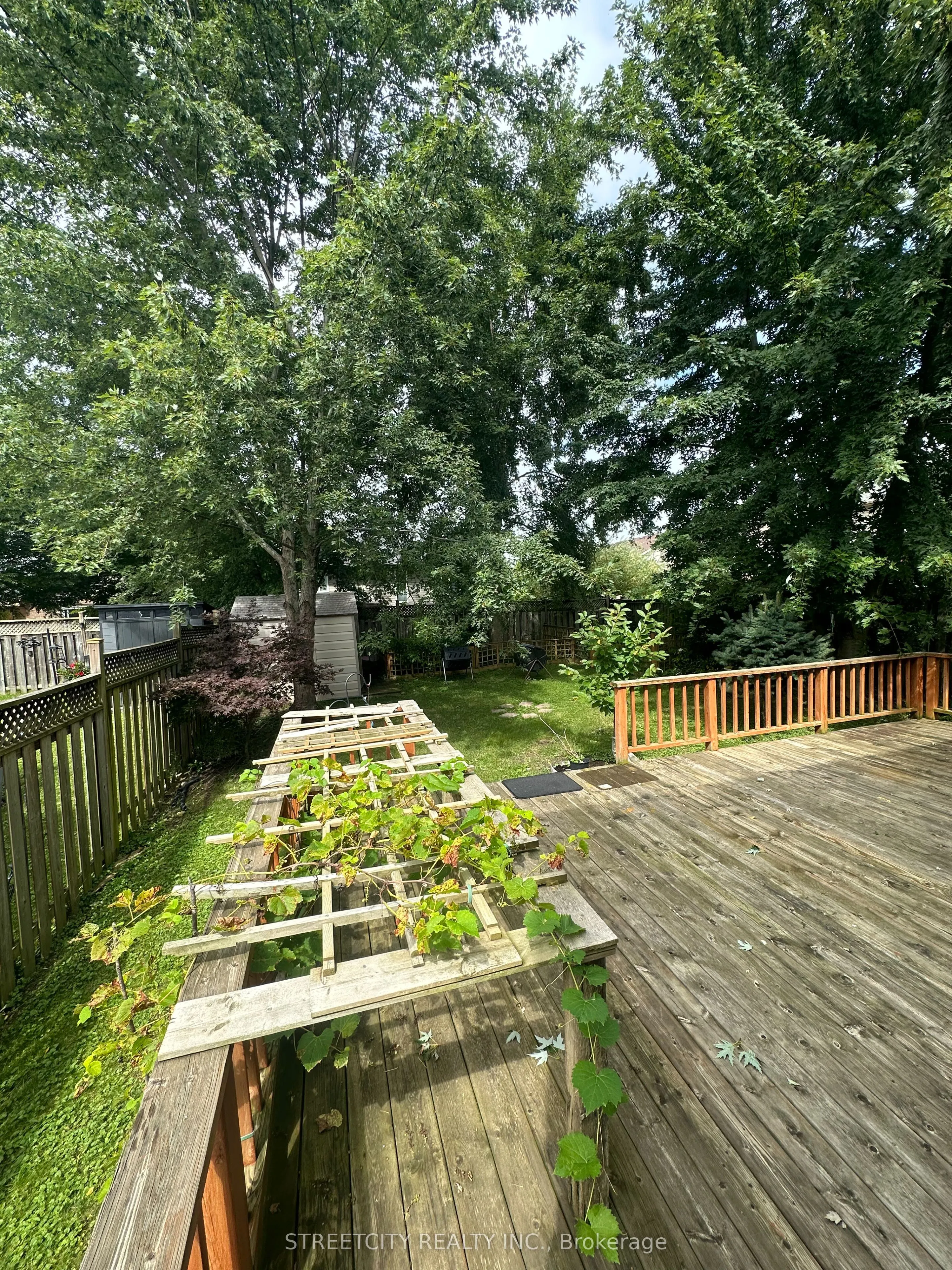 1234 South Wenige Drive