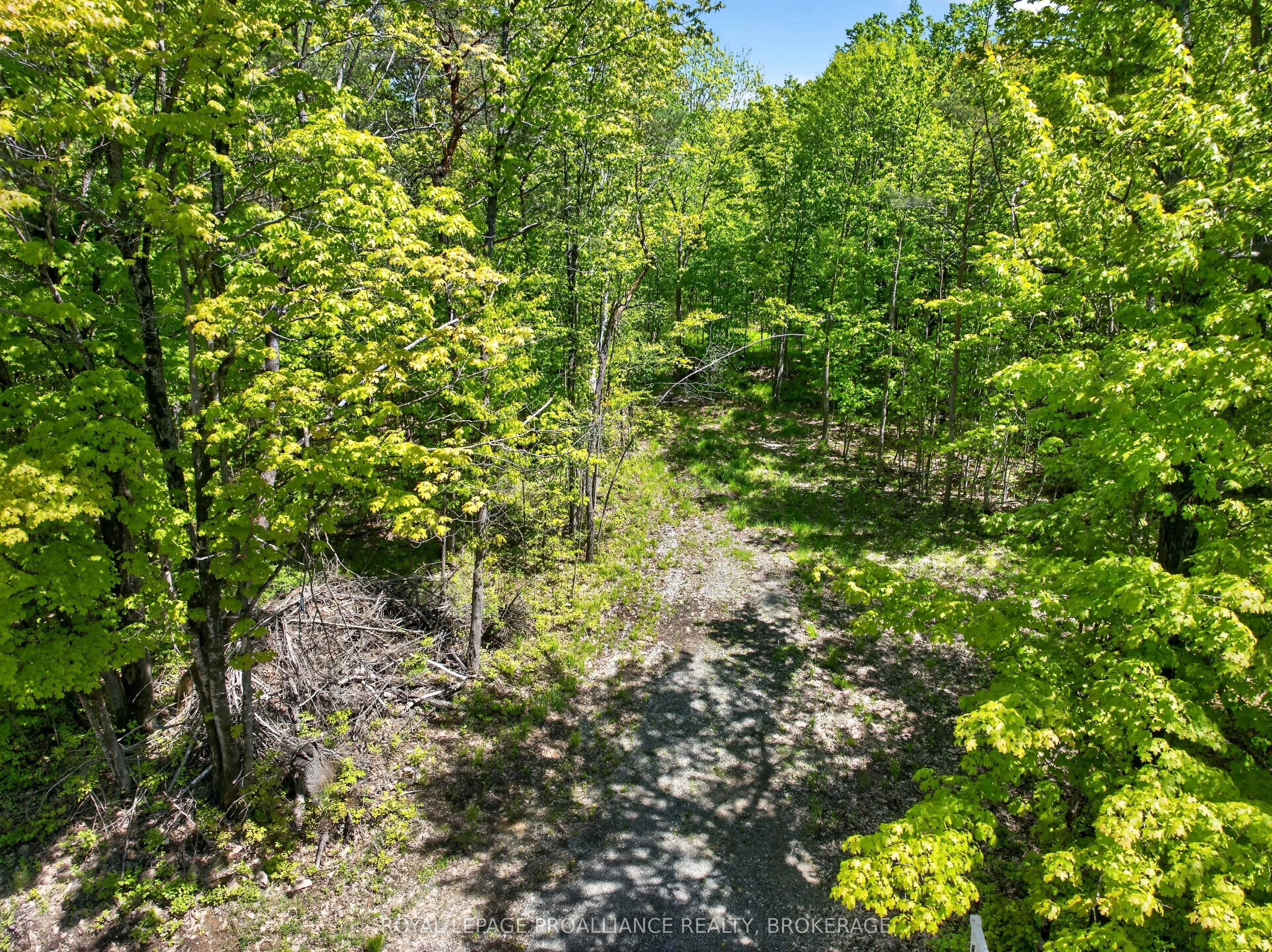 PT LTS 12 & 13 Devil Lake Road