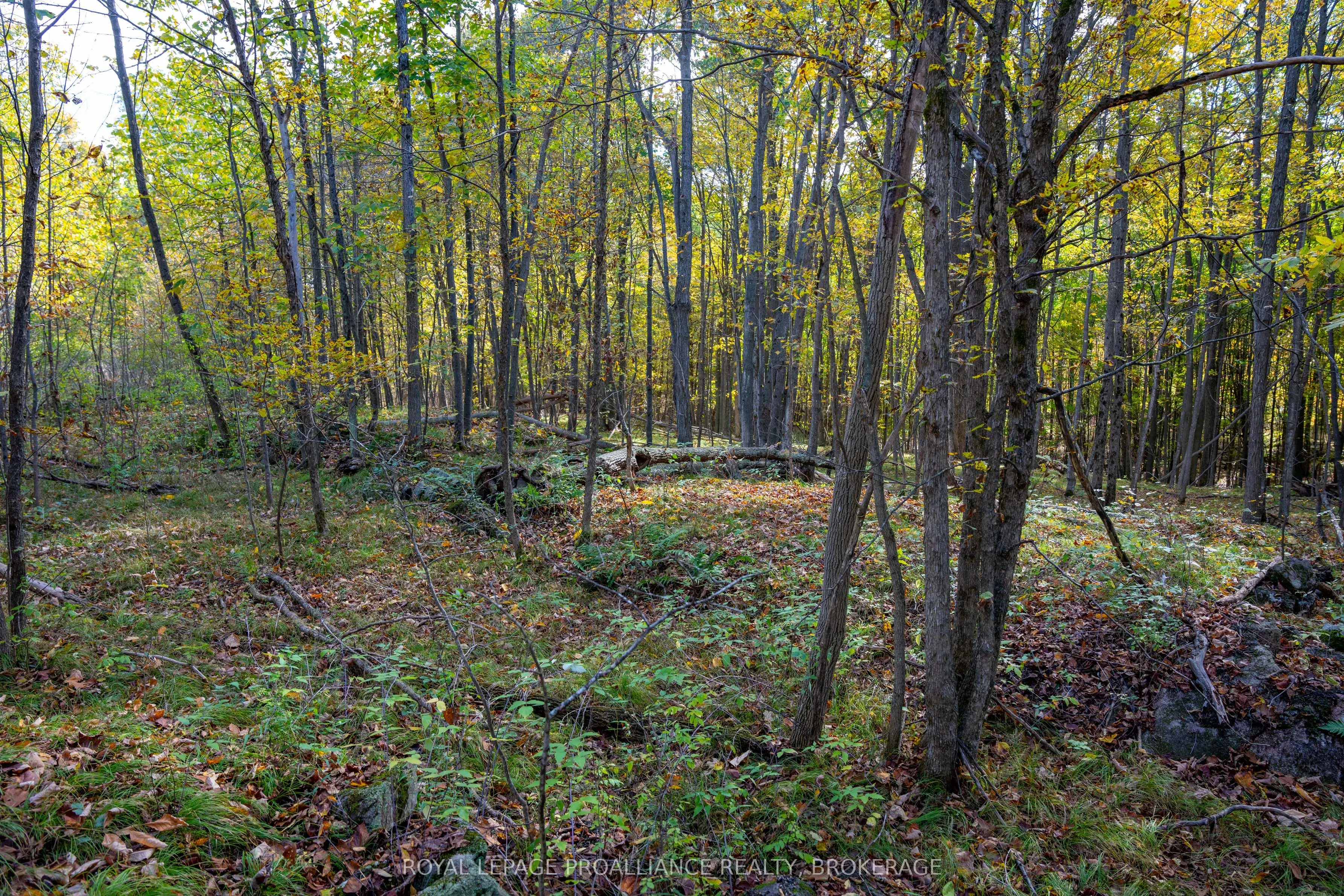 PT LTS 12 & 13 Devil Lake Road