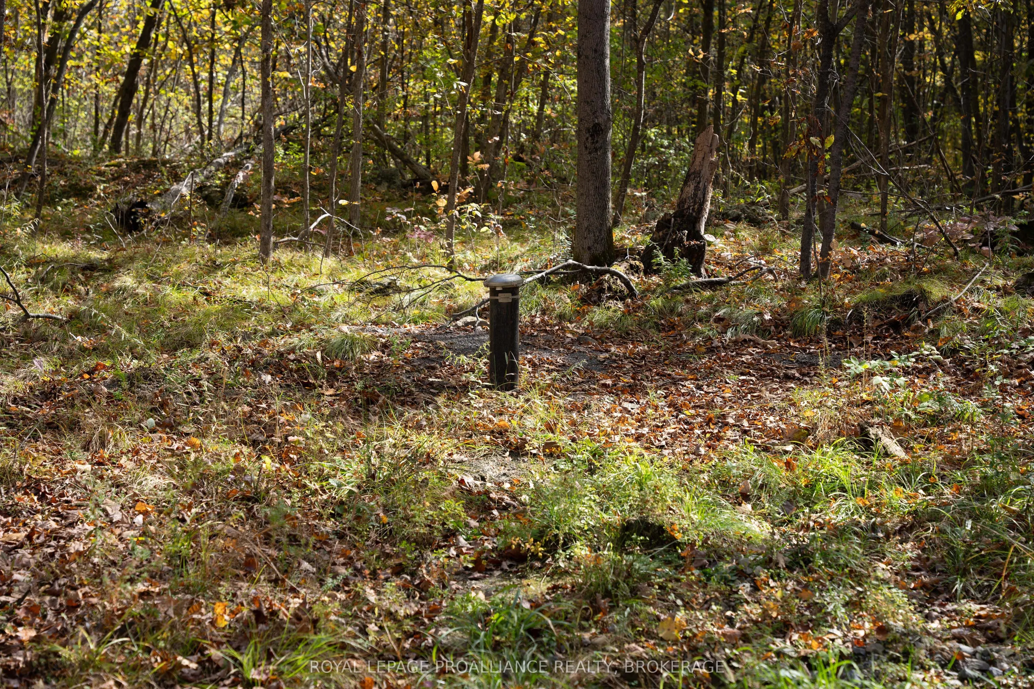 PT LTS 12 & 13 Devil Lake Road