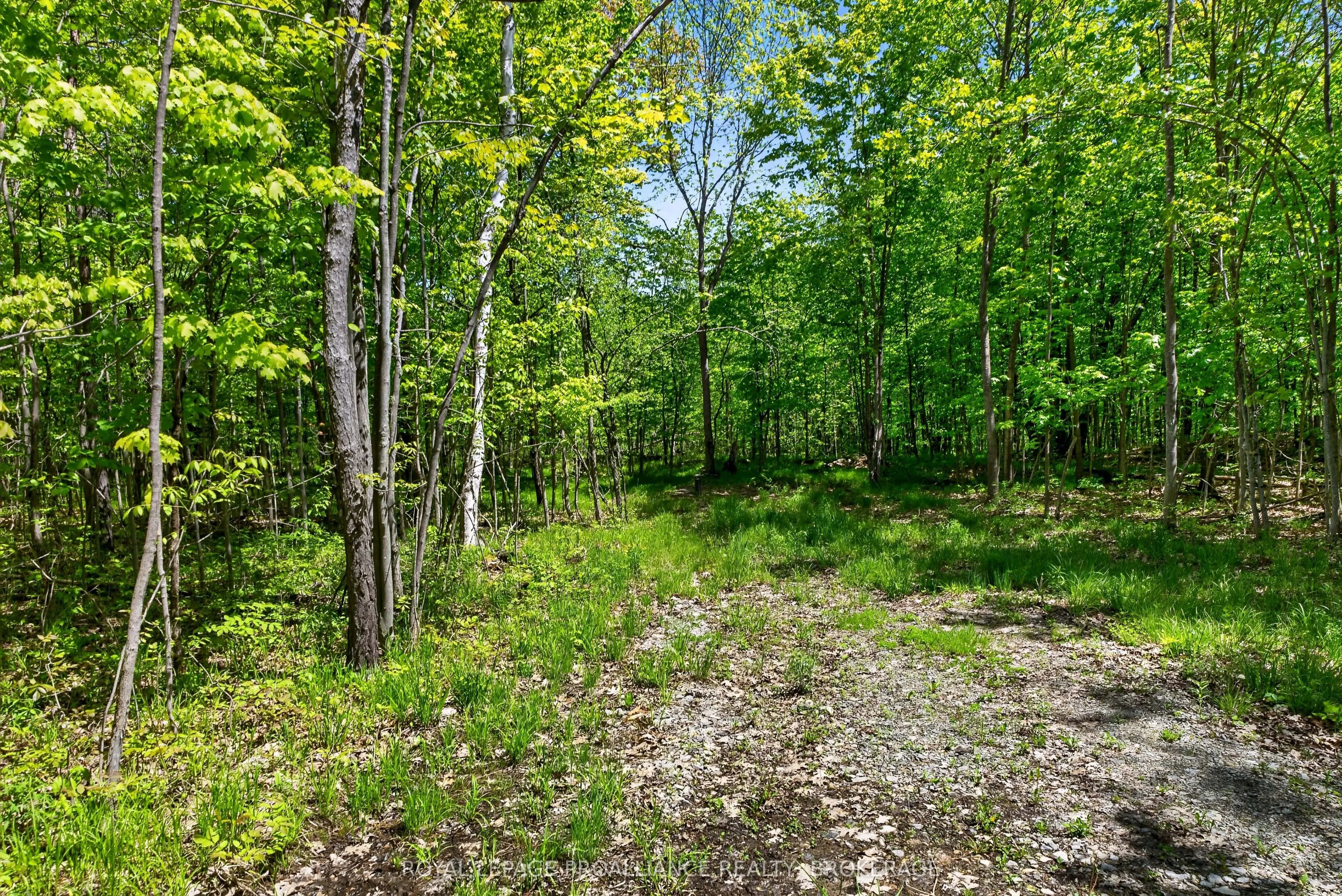 PT LTS 12 & 13 Devil Lake Road