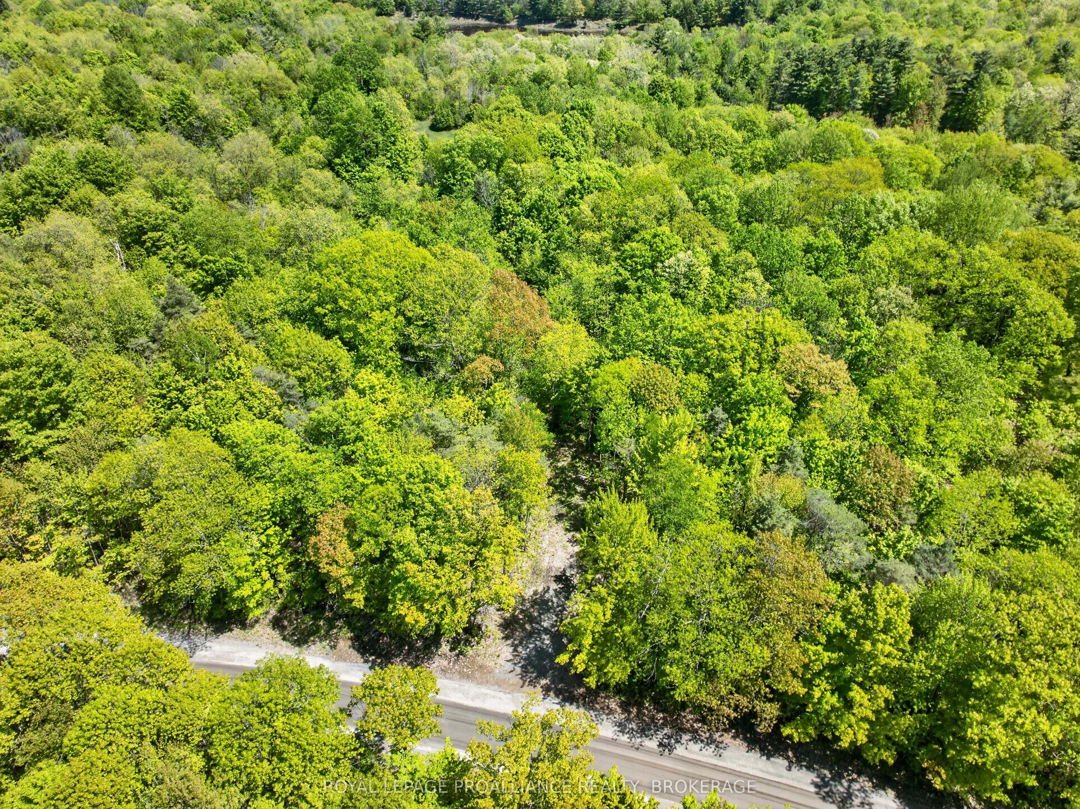 PT LTS 12 & 13 Devil Lake Road