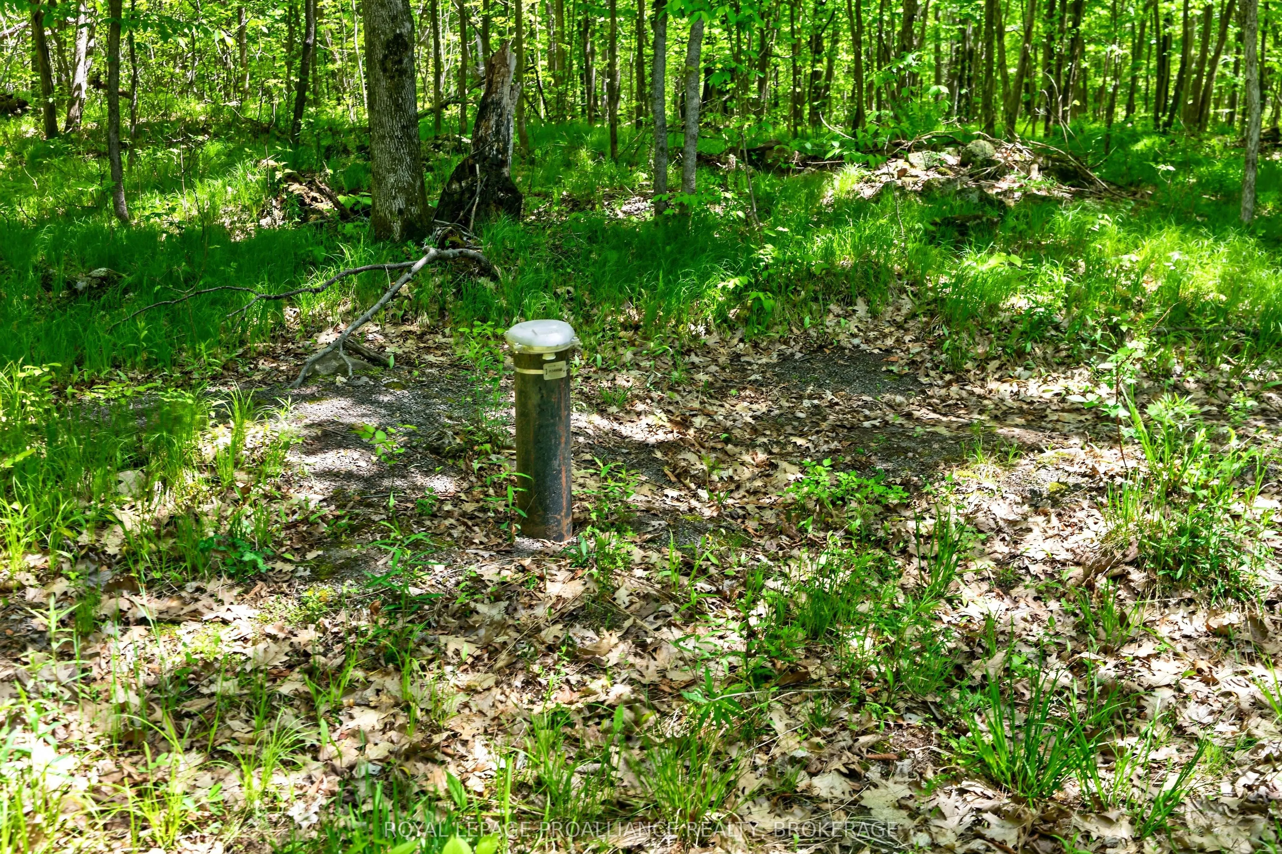 PT LTS 12 & 13 Devil Lake Road