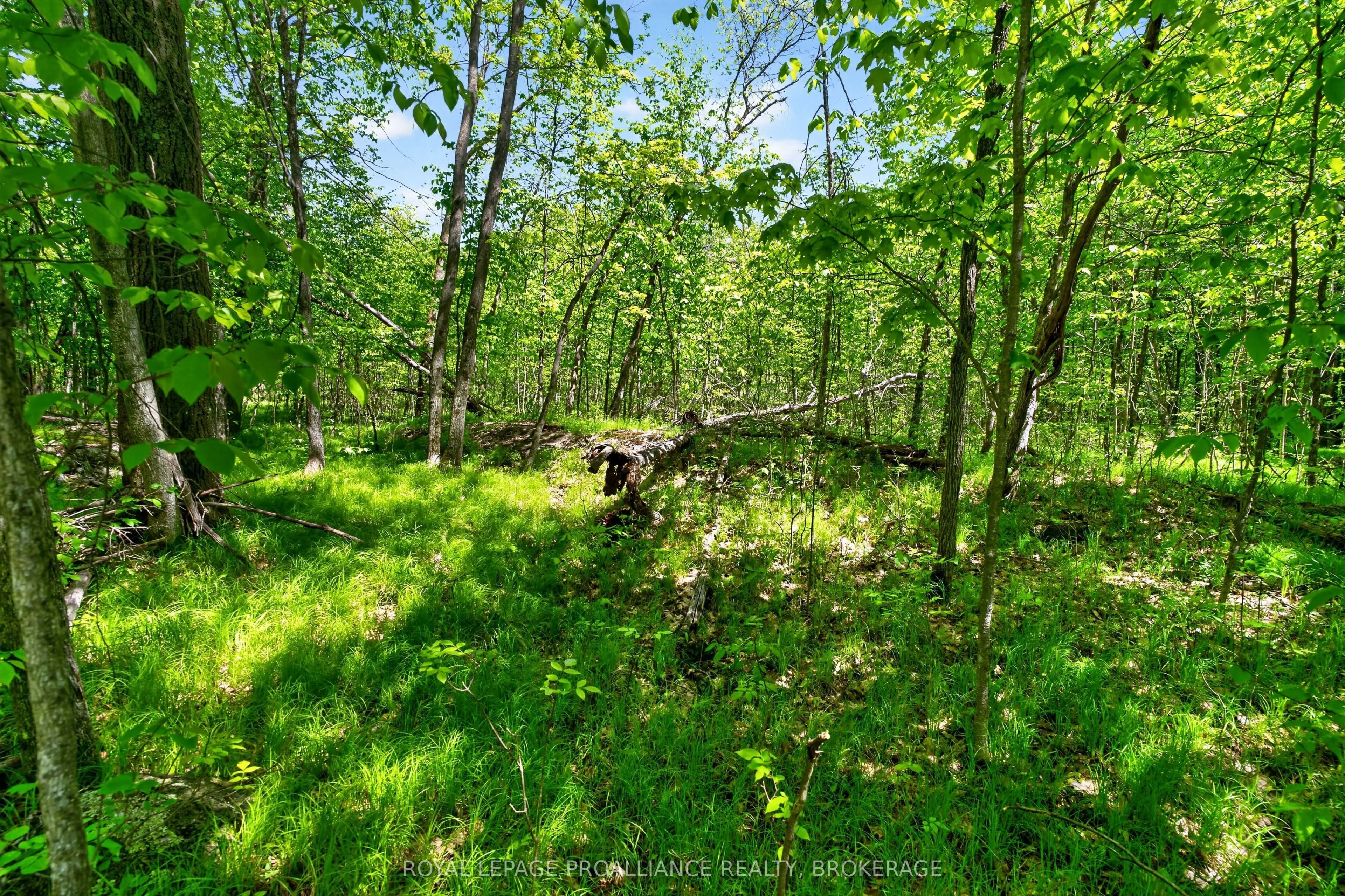 PT LTS 12 & 13 Devil Lake Road