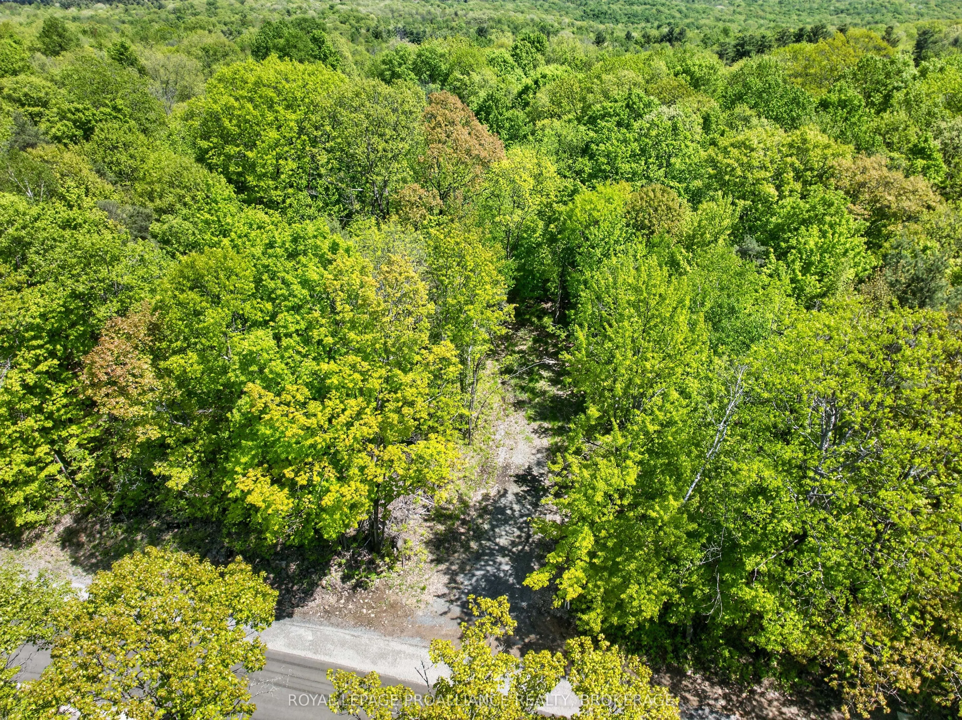 PT LTS 12 & 13 Devil Lake Road