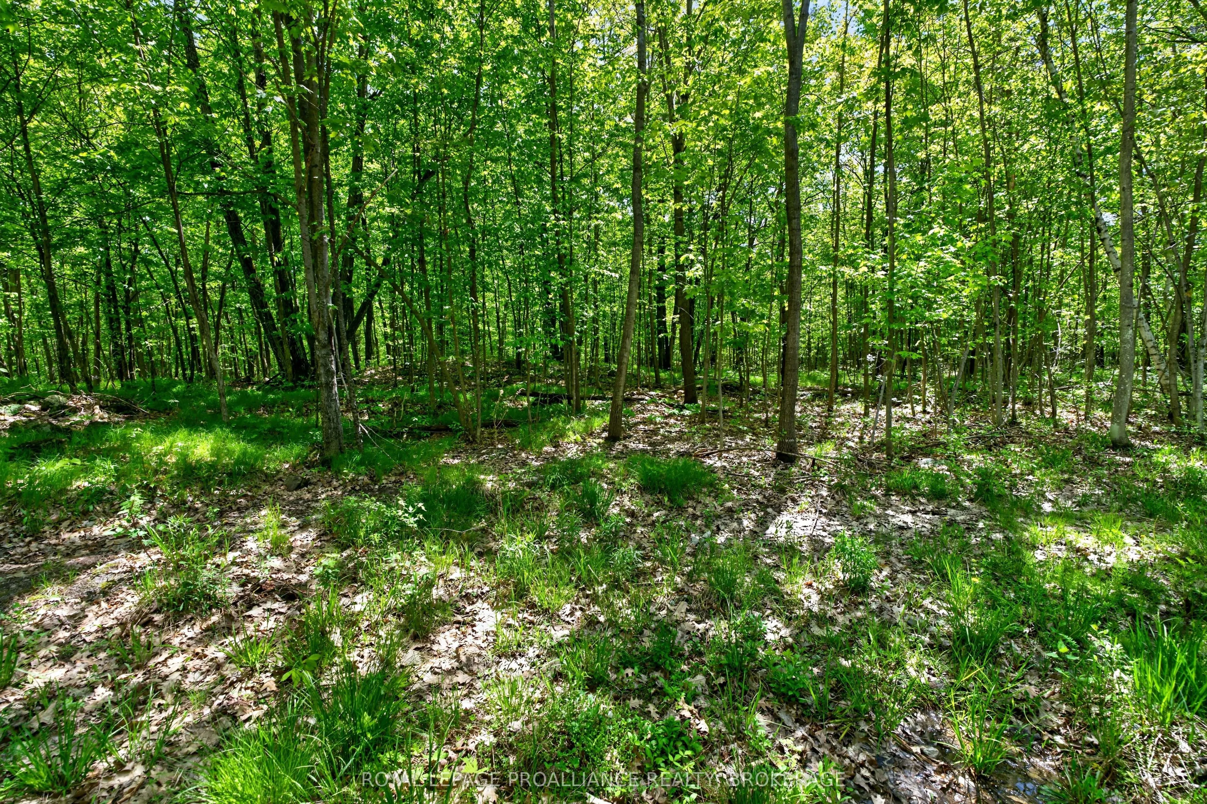 PT LTS 12 & 13 Devil Lake Road