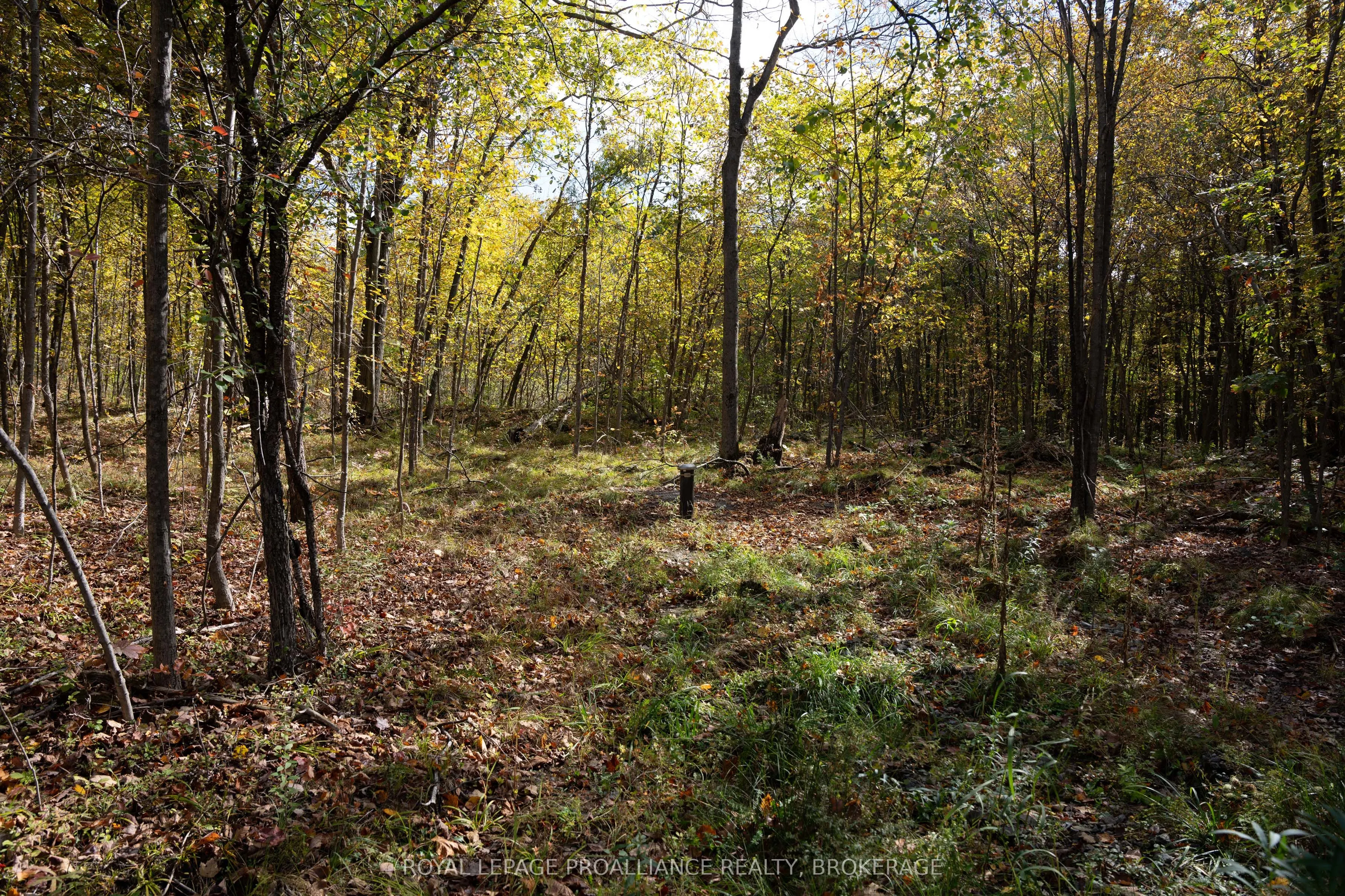 PT LTS 12 & 13 Devil Lake Road