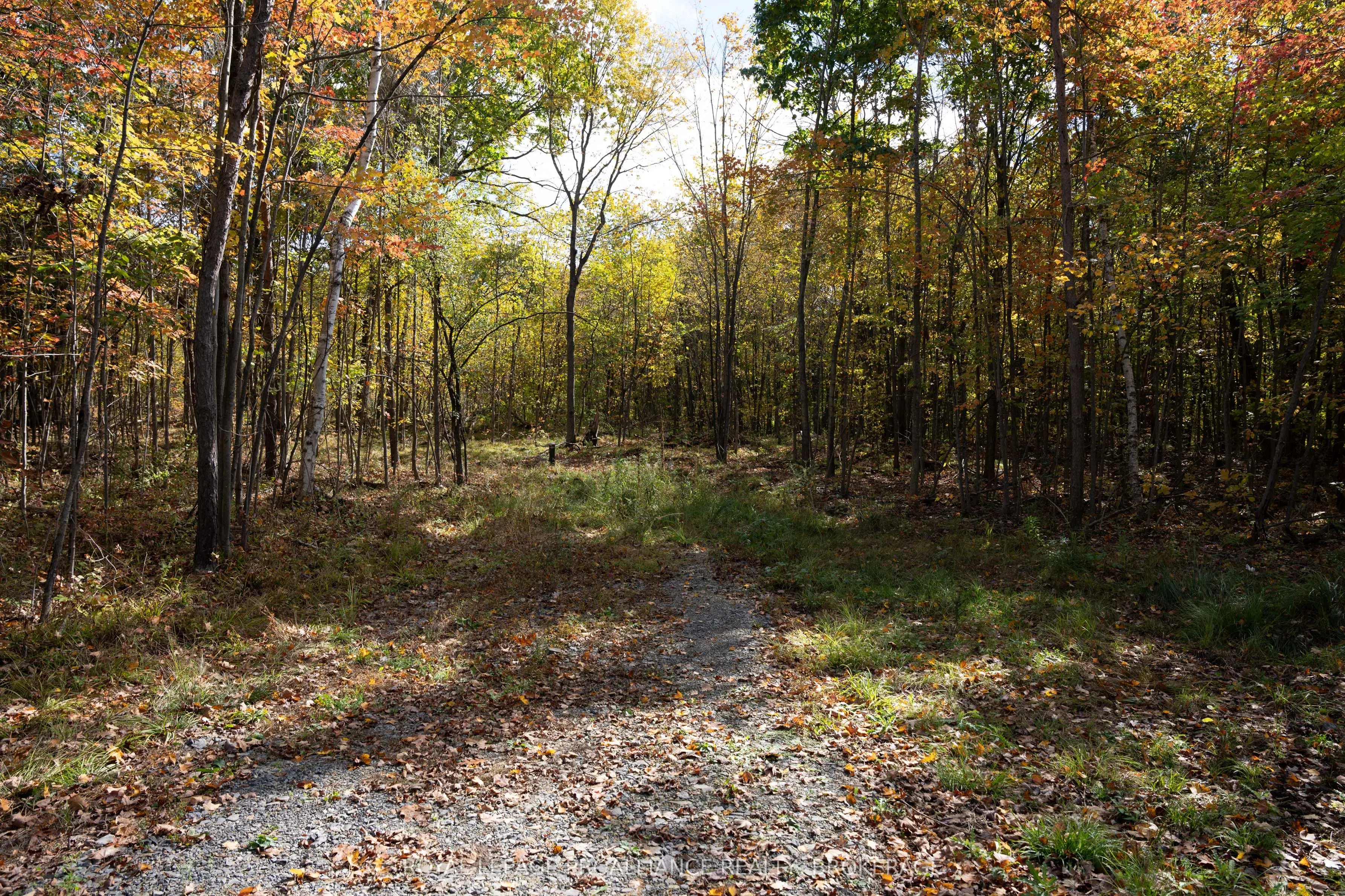 PT LTS 12 & 13 Devil Lake Road