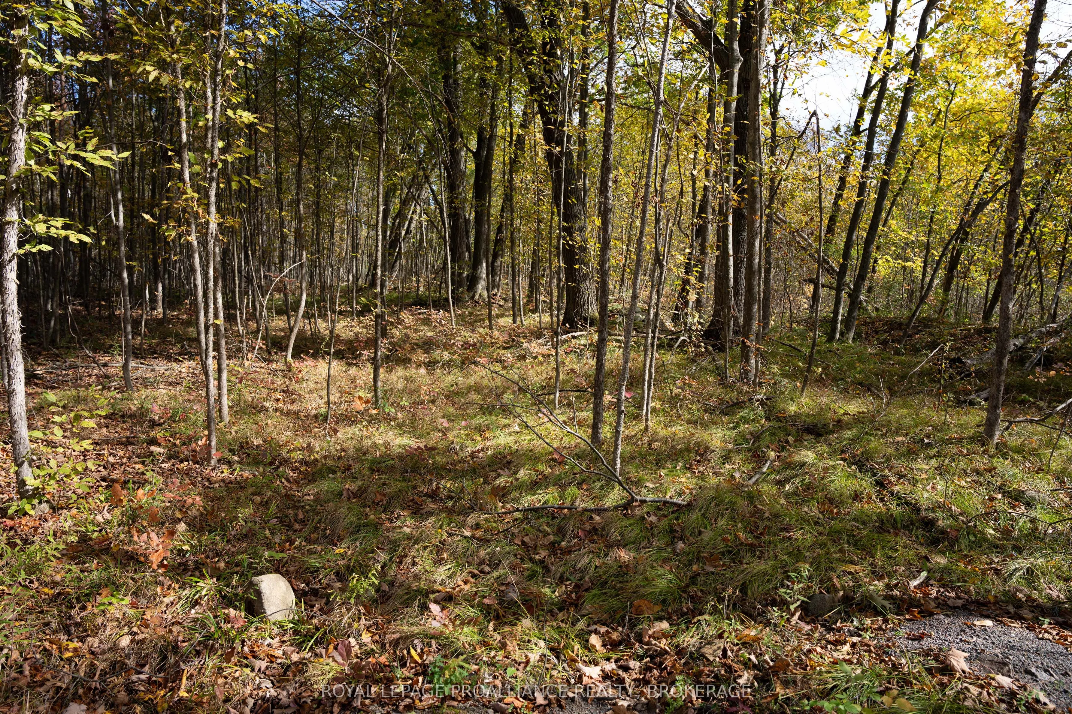 PT LTS 12 & 13 Devil Lake Road