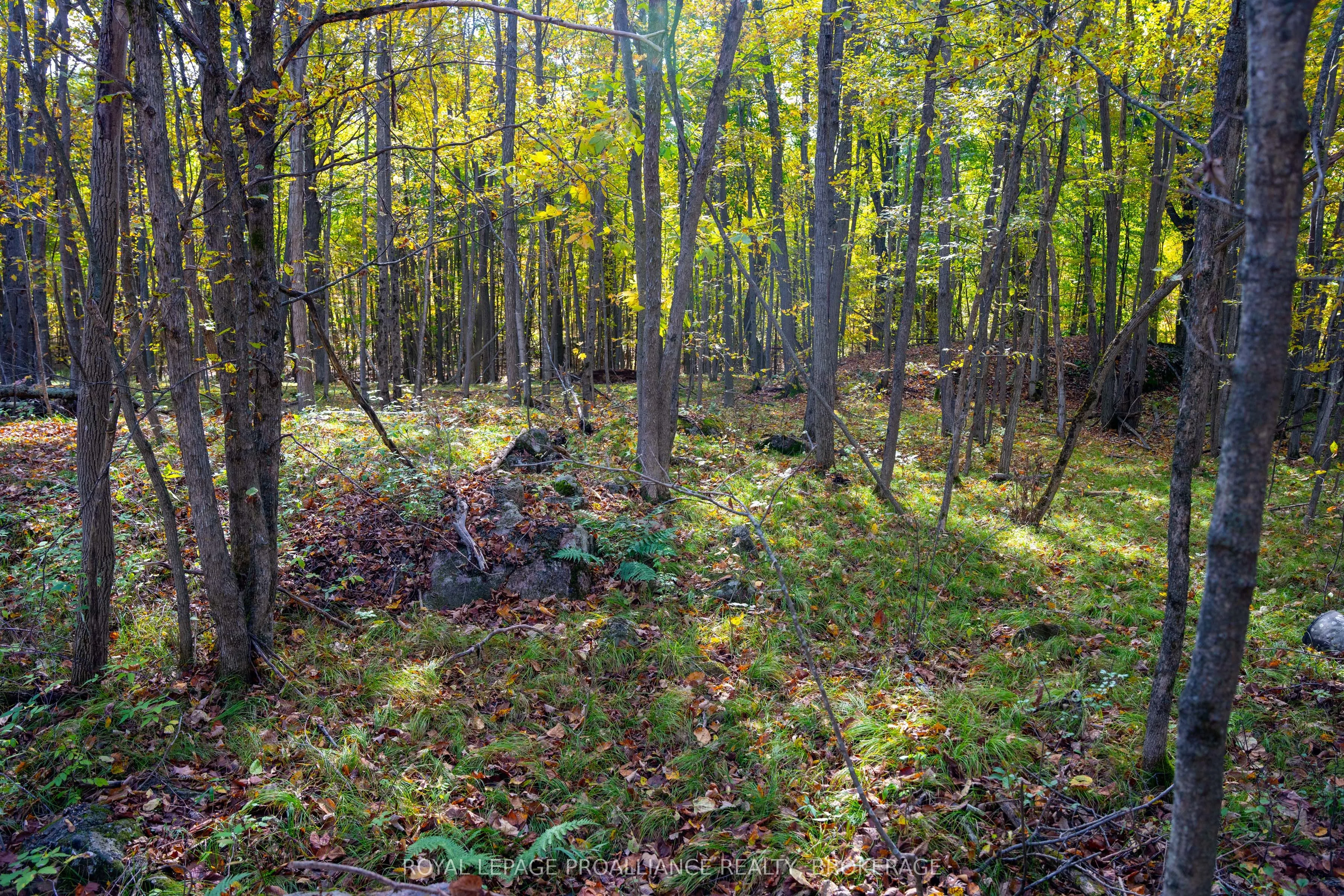 PT LTS 12 & 13 Devil Lake Road