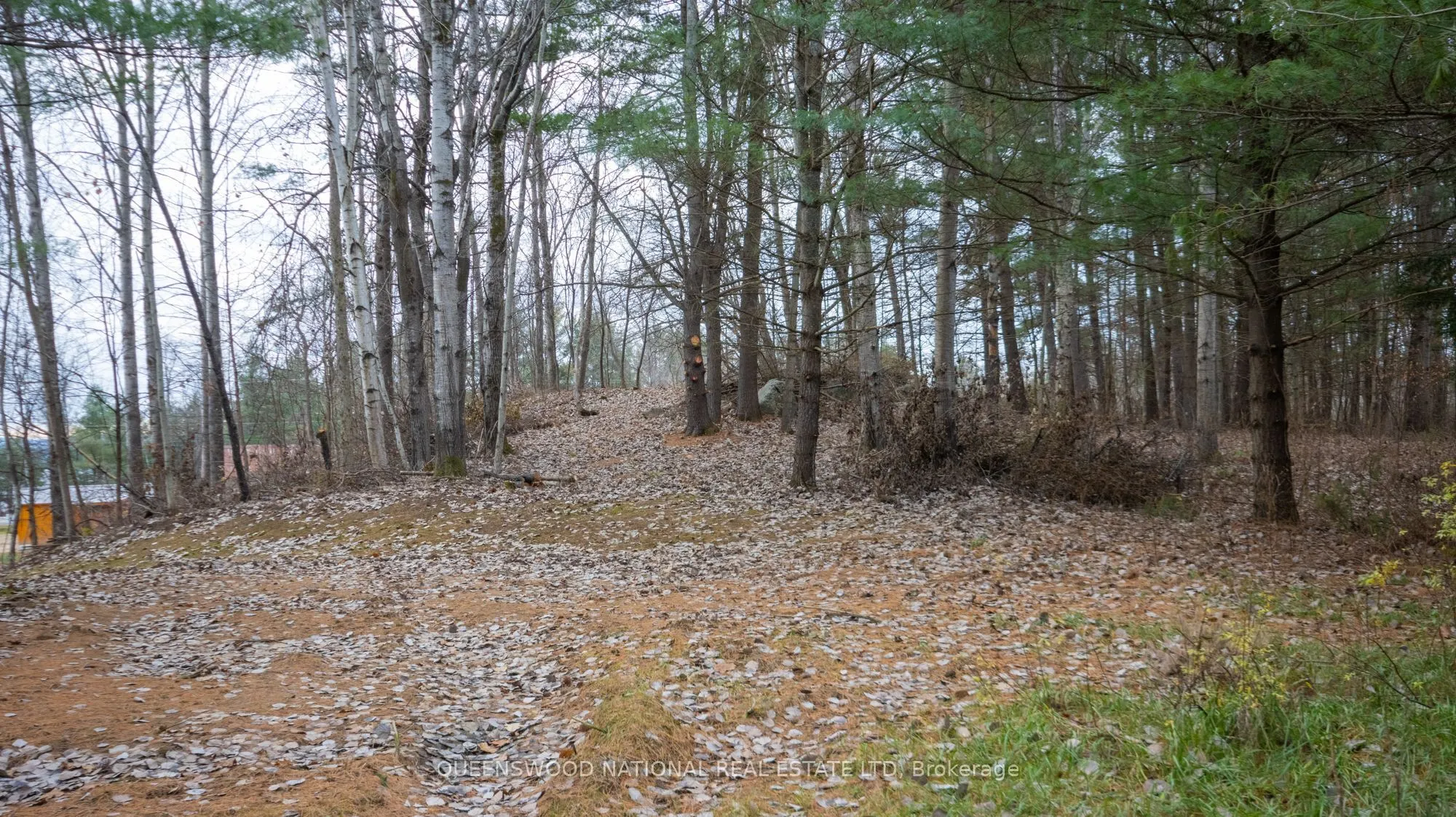 12894 HIGHWAY 60 Route