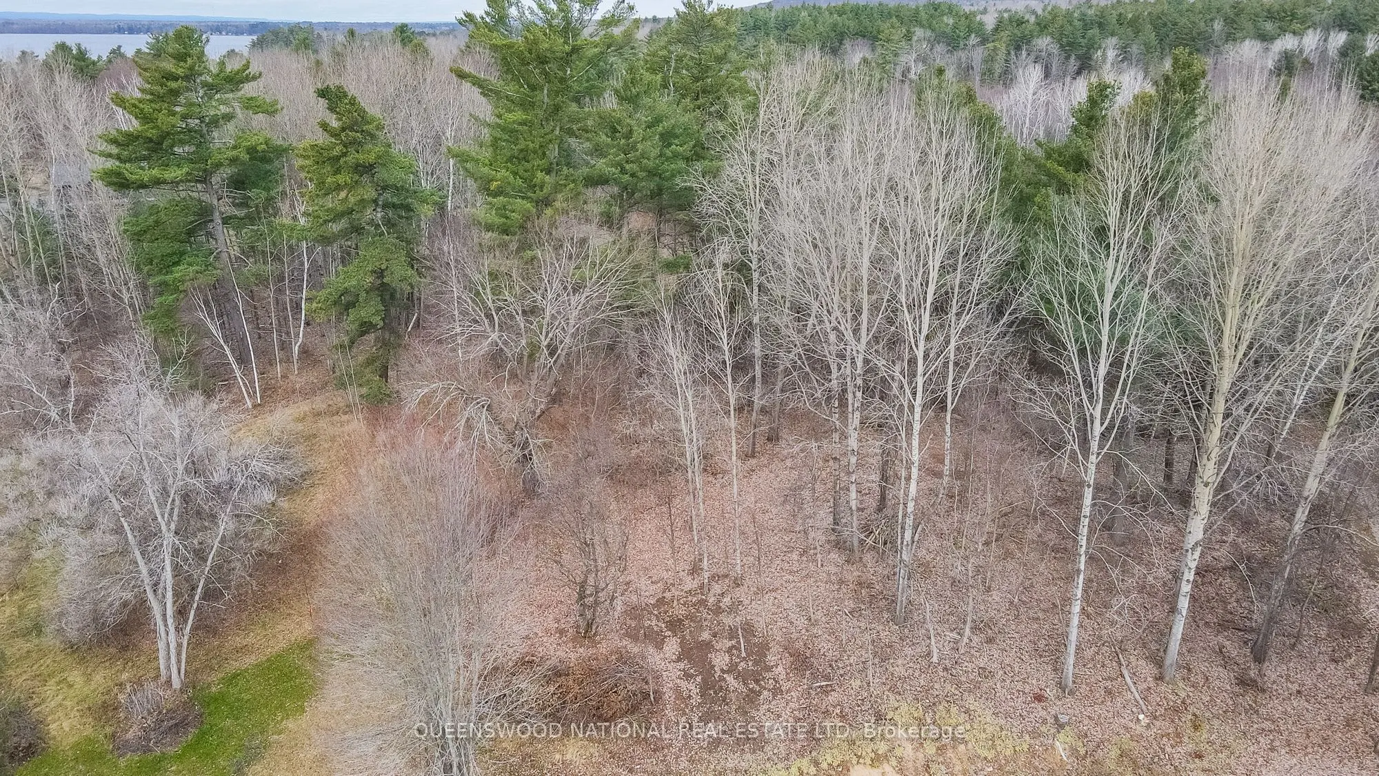 12894 HIGHWAY 60 Route