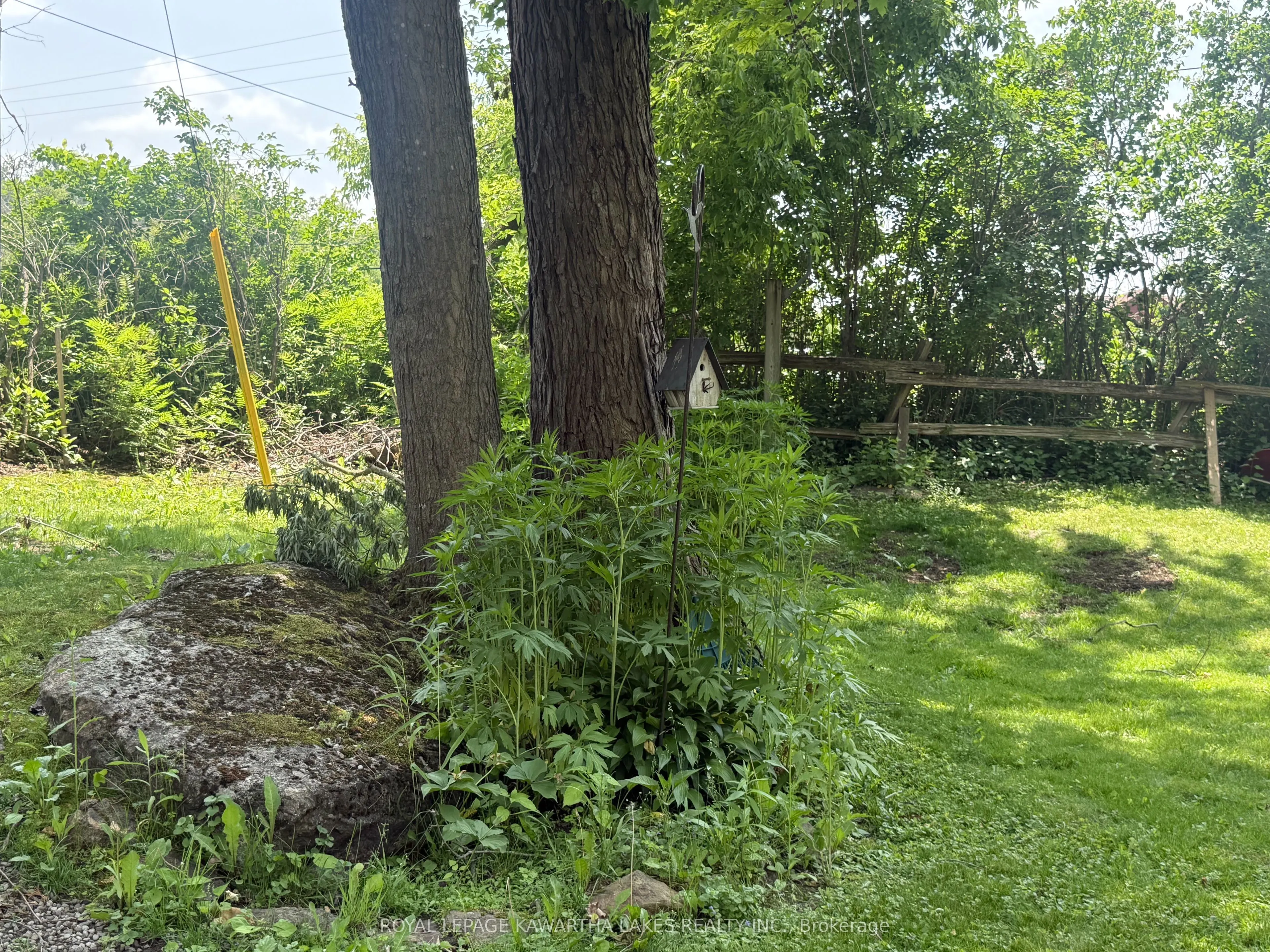 5 Government Dock Road