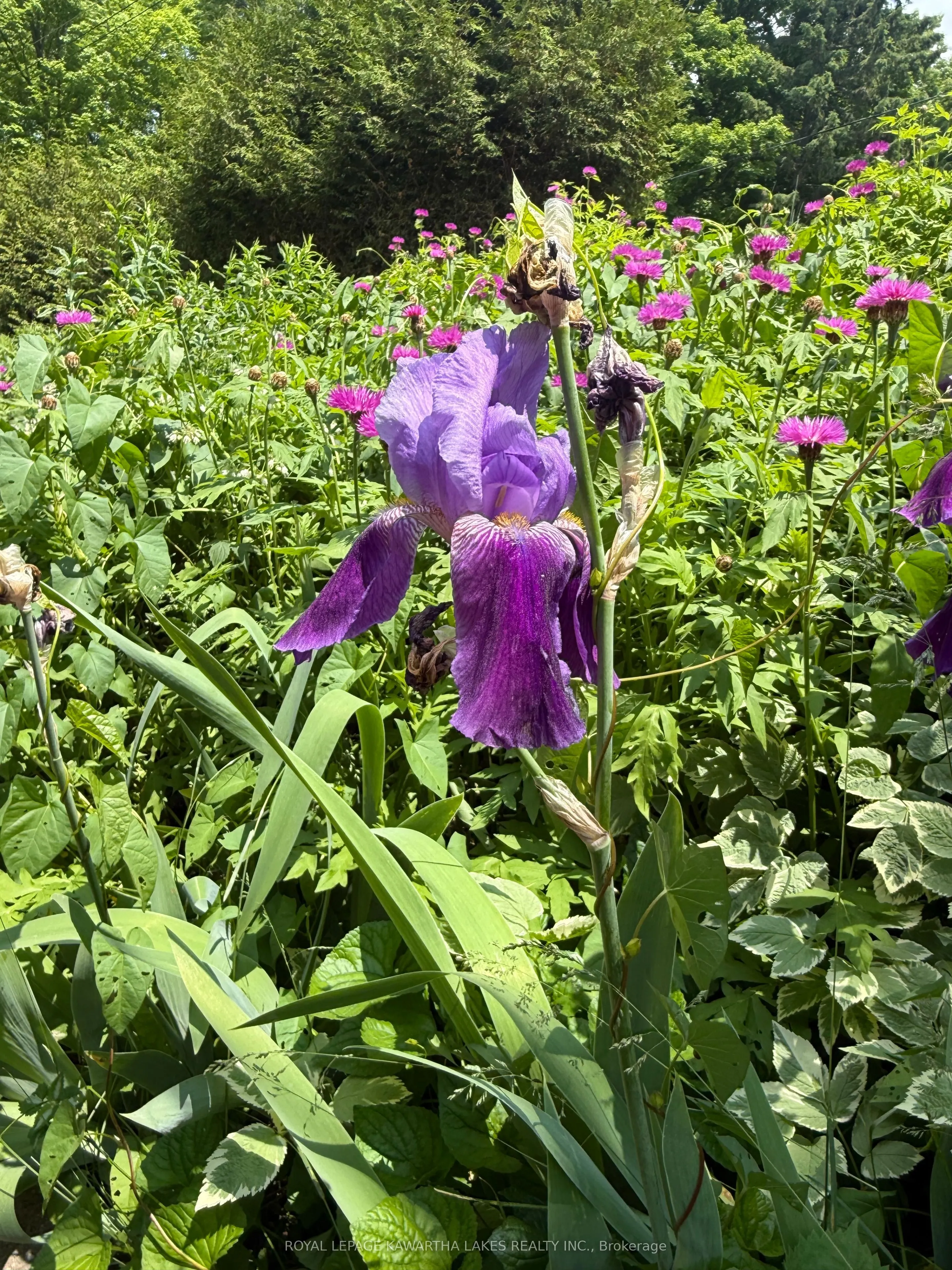 5 Government Dock Road