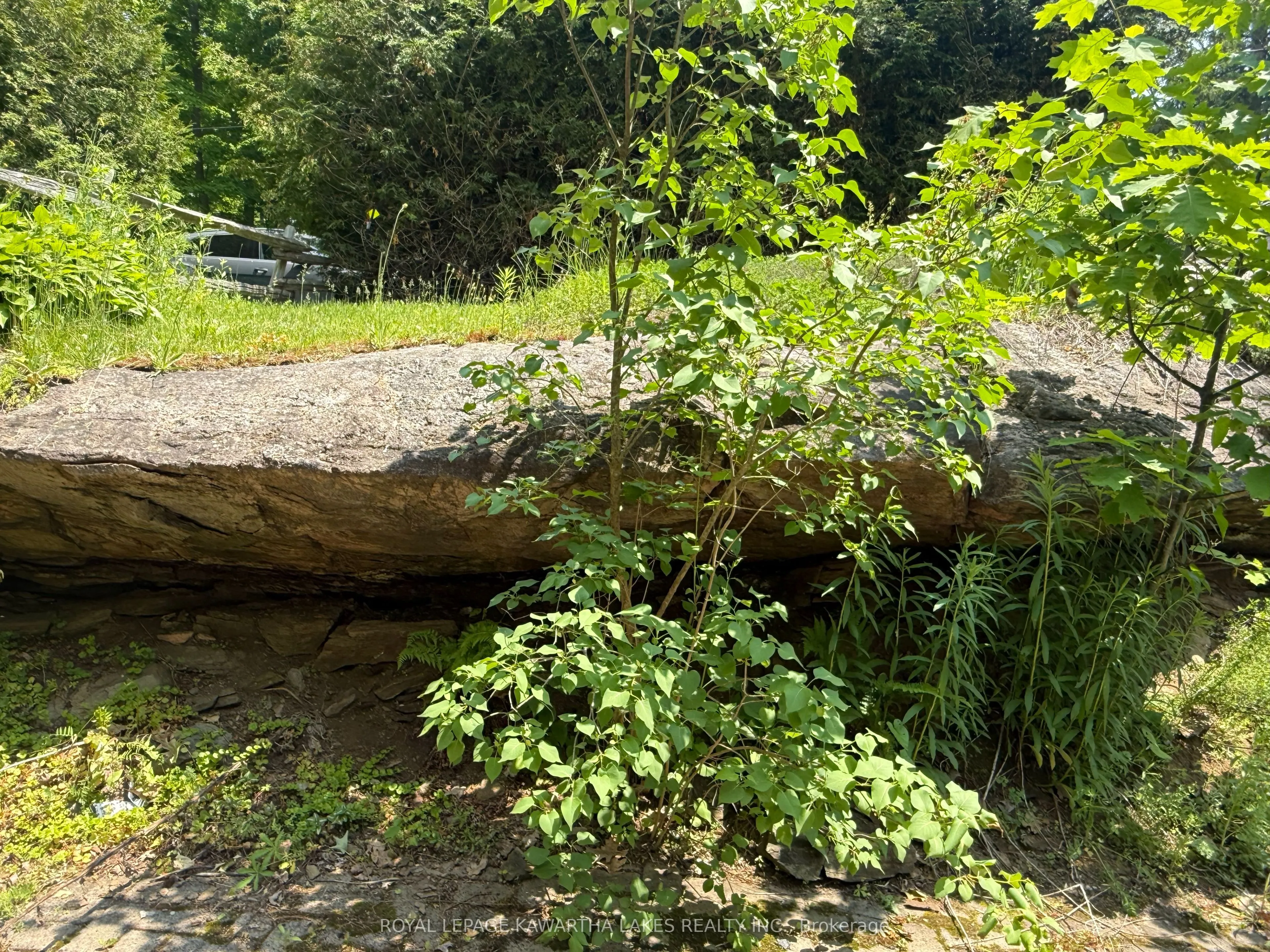 5 Government Dock Road