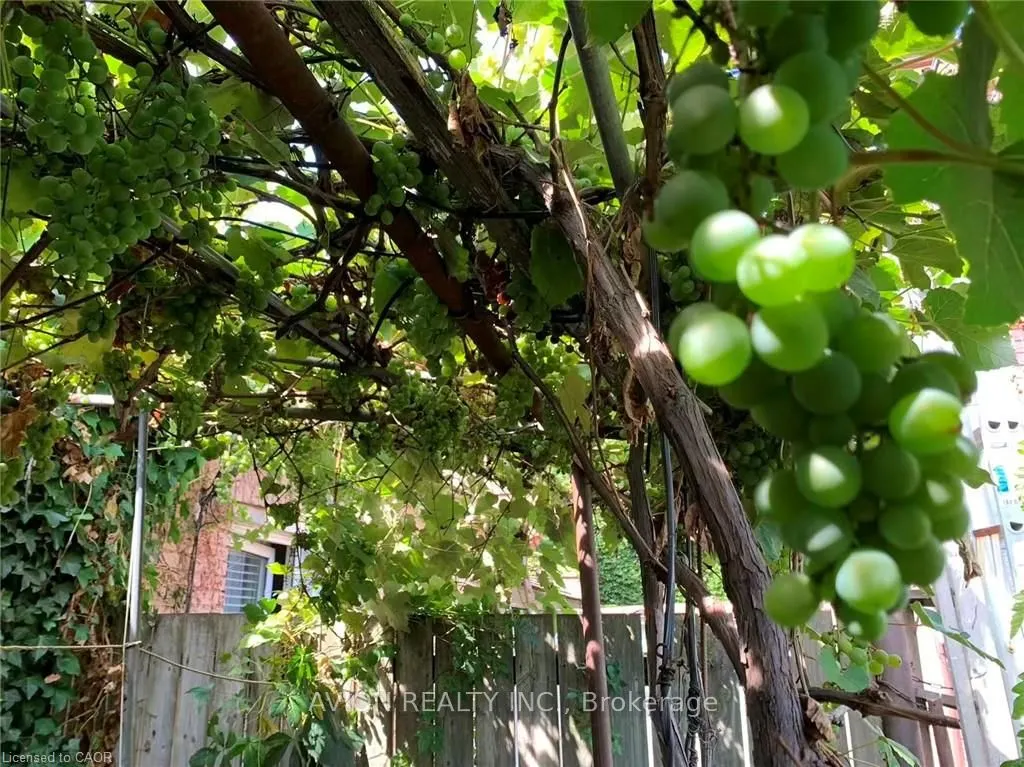 26 BARTON Street W, #2