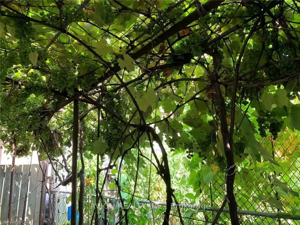 26 BARTON Street W, #2