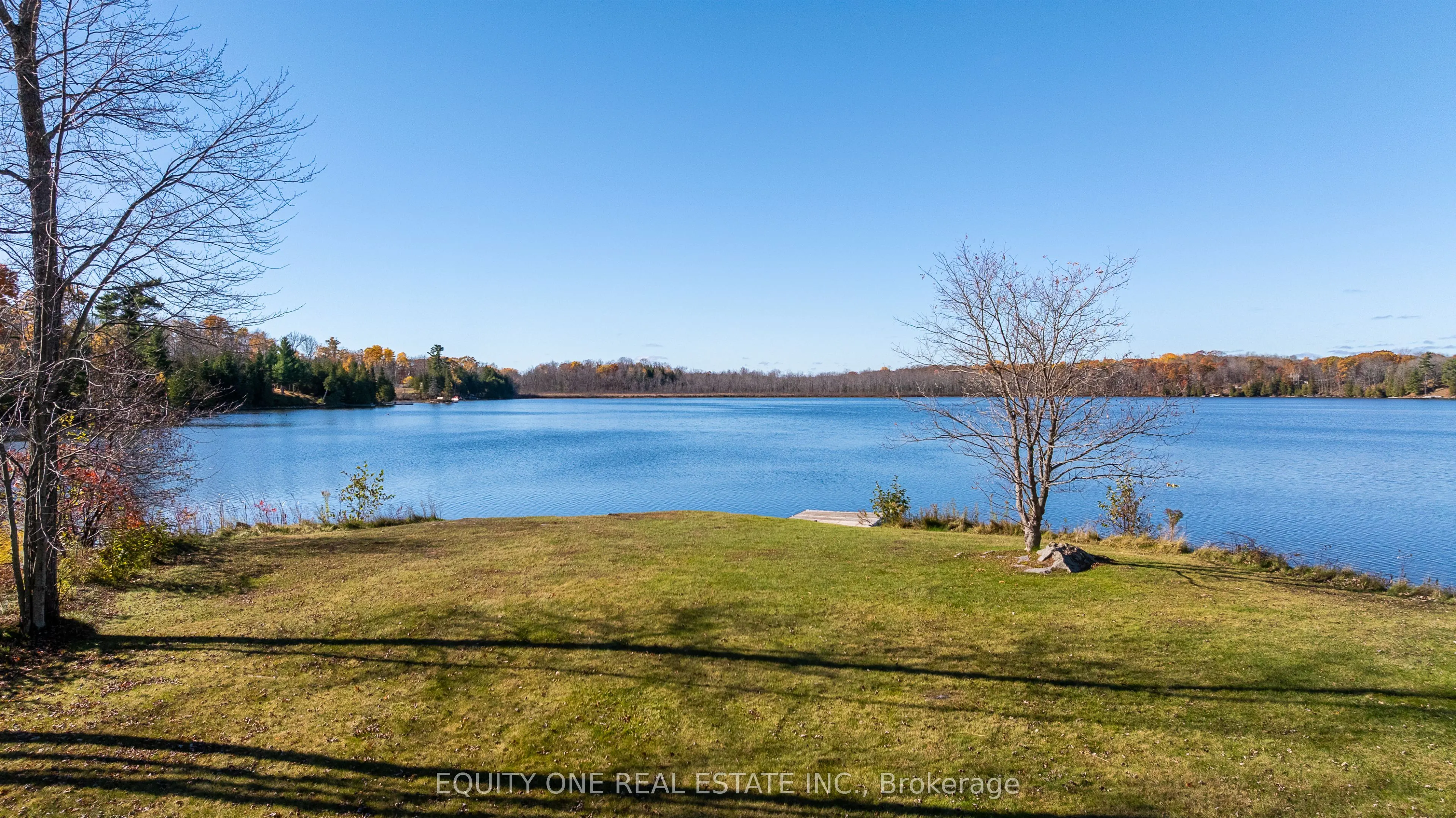 1099c Polar Bear Lane