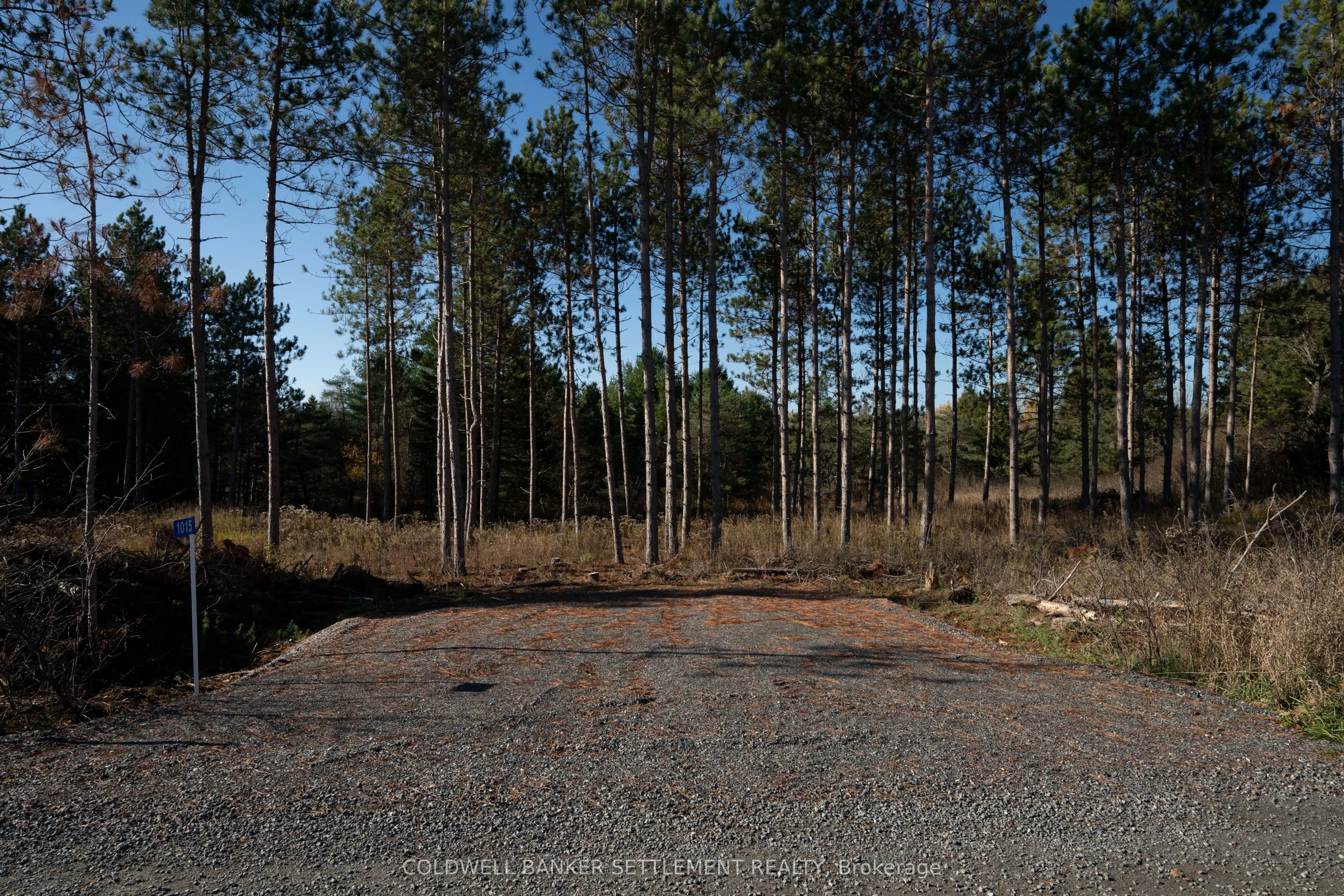 1015 Concession 5A Road