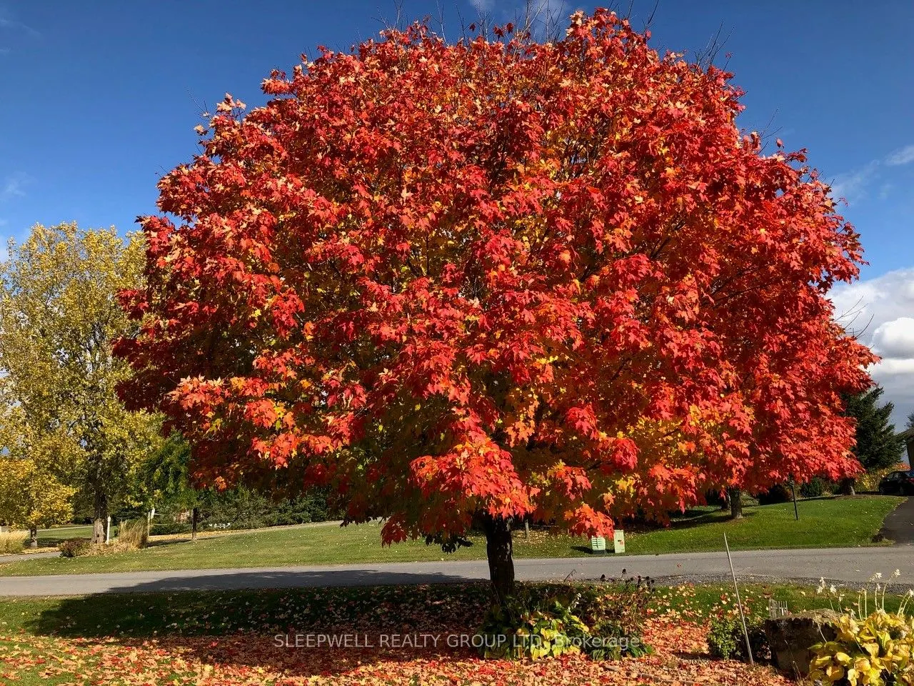 1040 Misty Morning Lane