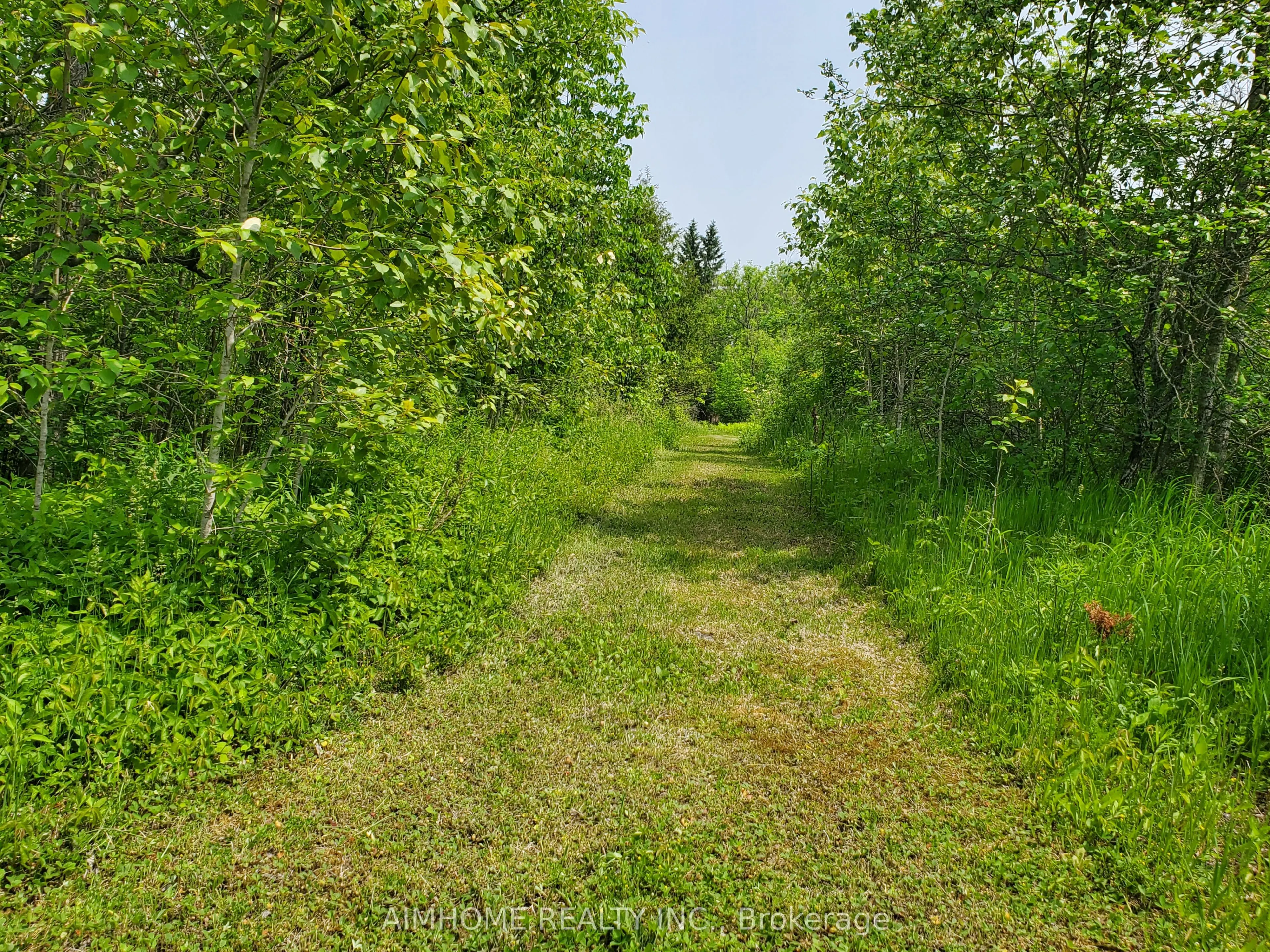 3092 Scotch Bush Bend