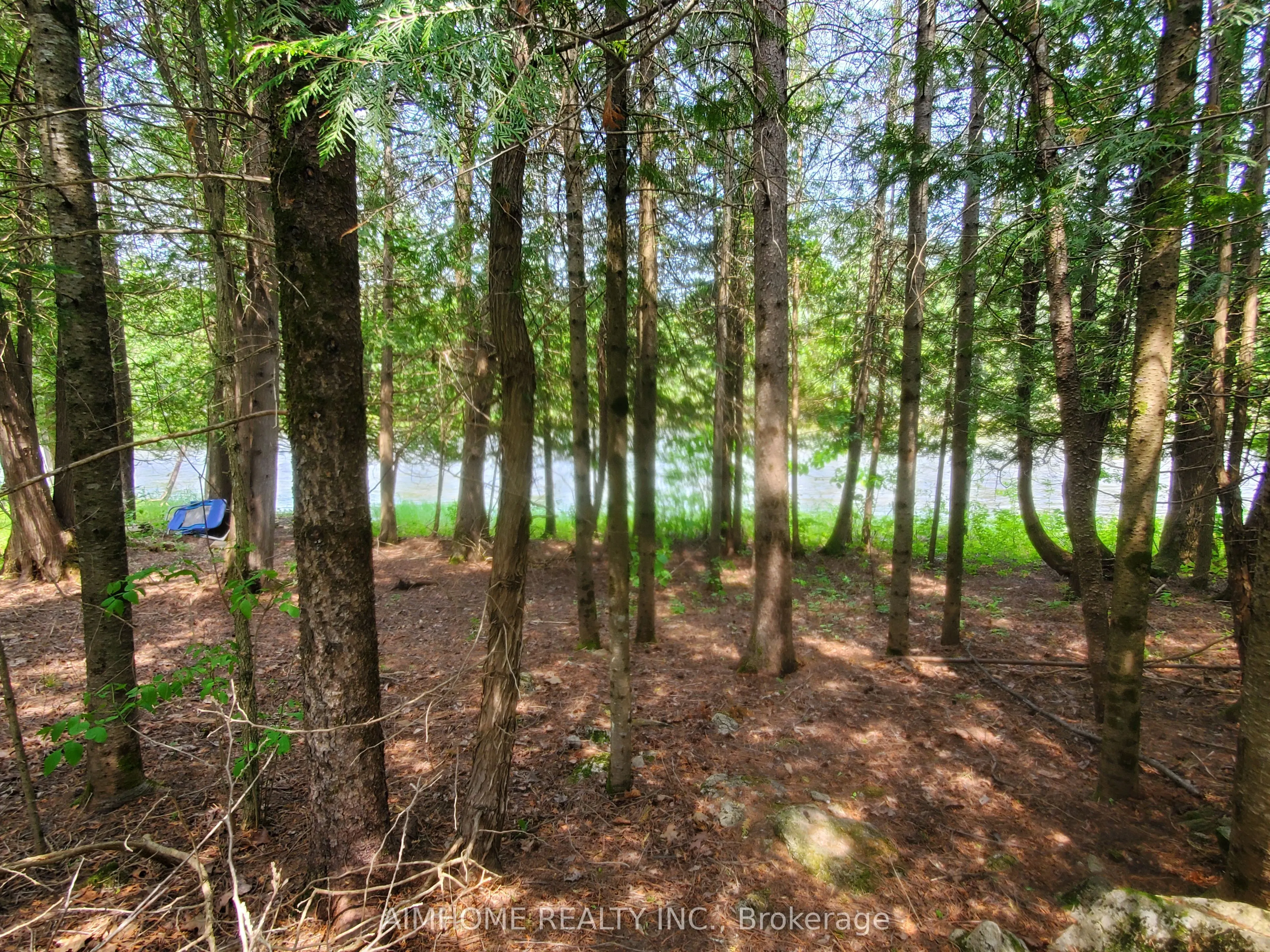 3092 Scotch Bush Bend