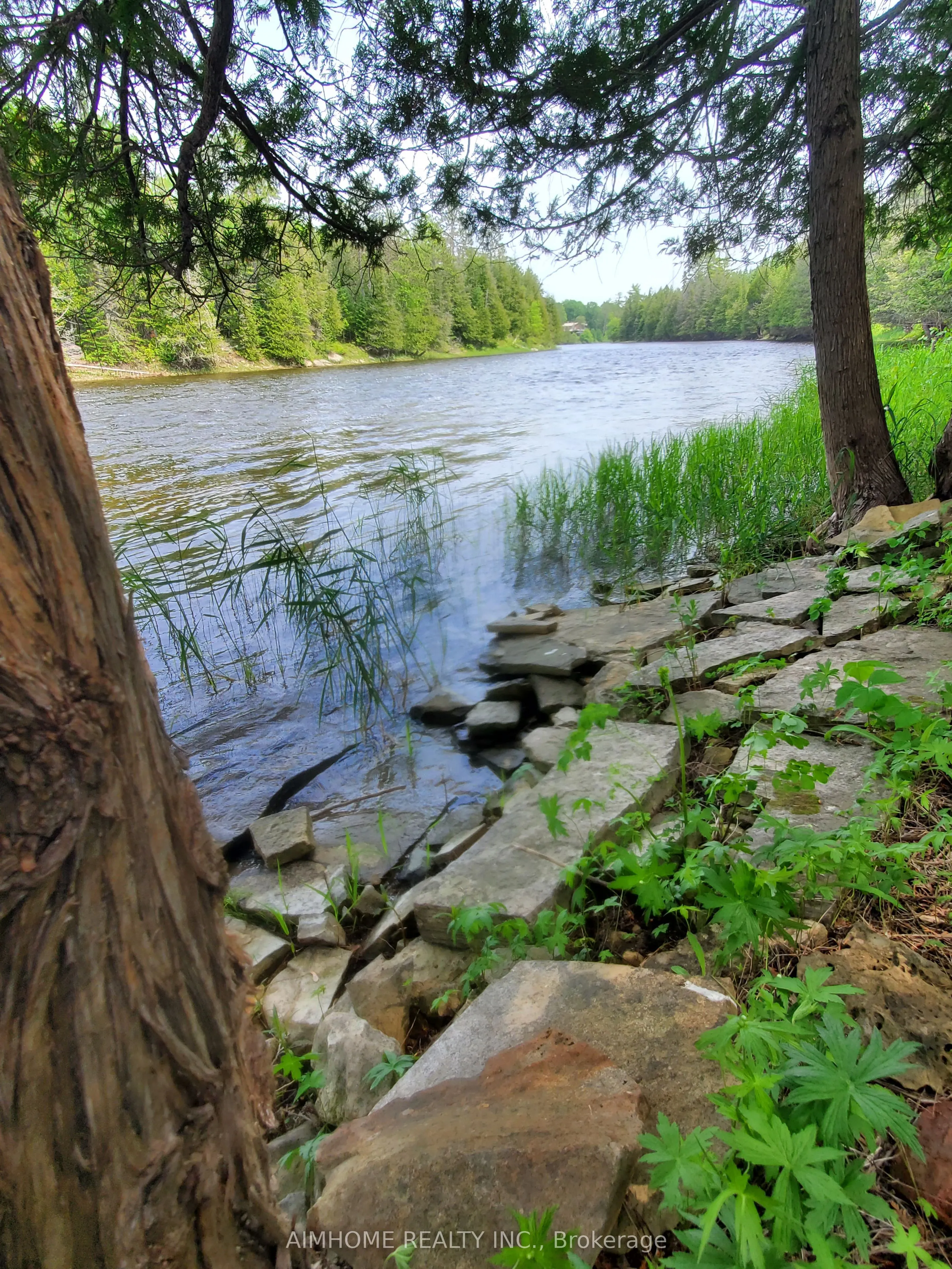 3092 Scotch Bush Bend