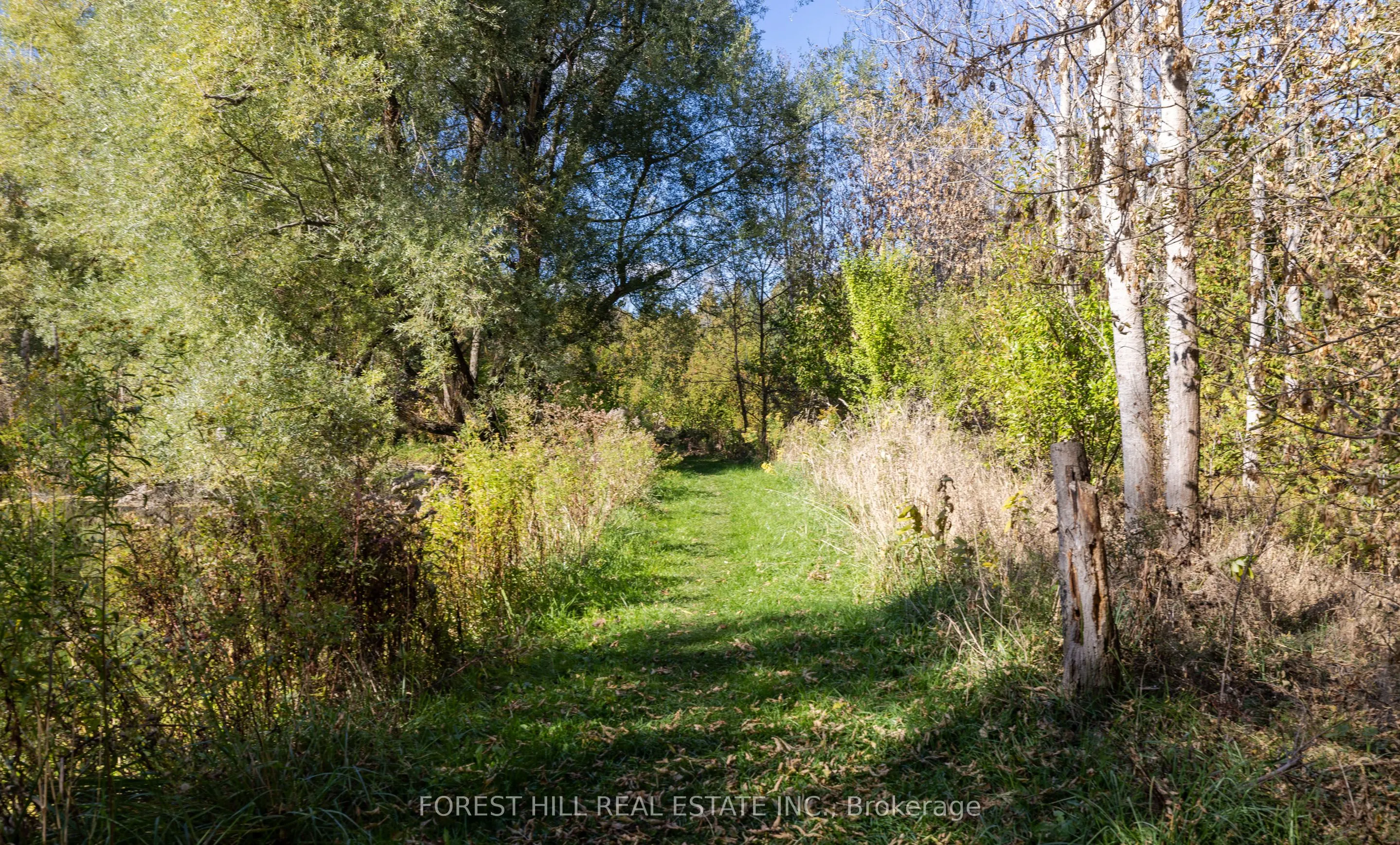 794575 Mono Centre Road