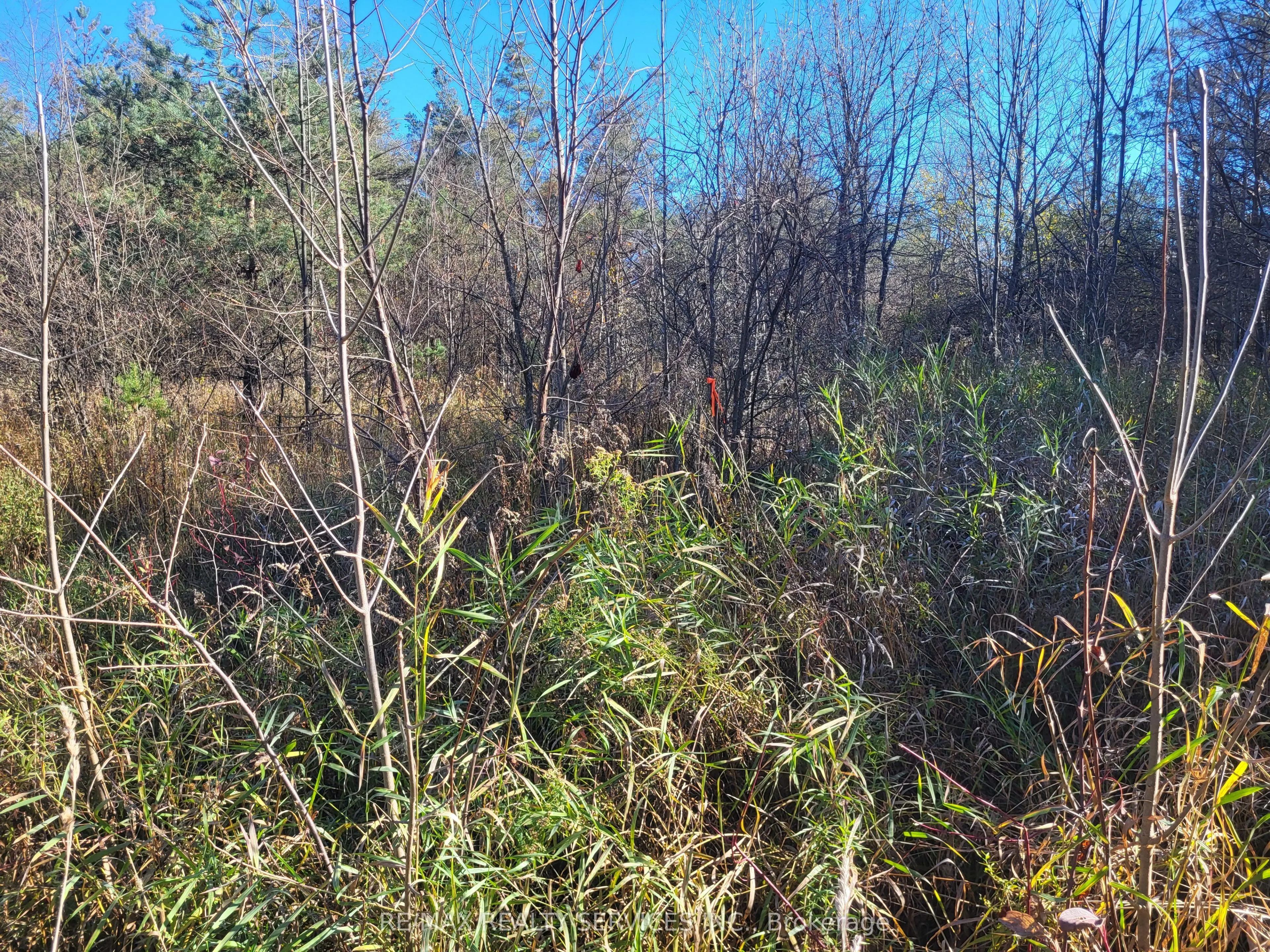 395421 Concession 2 Road