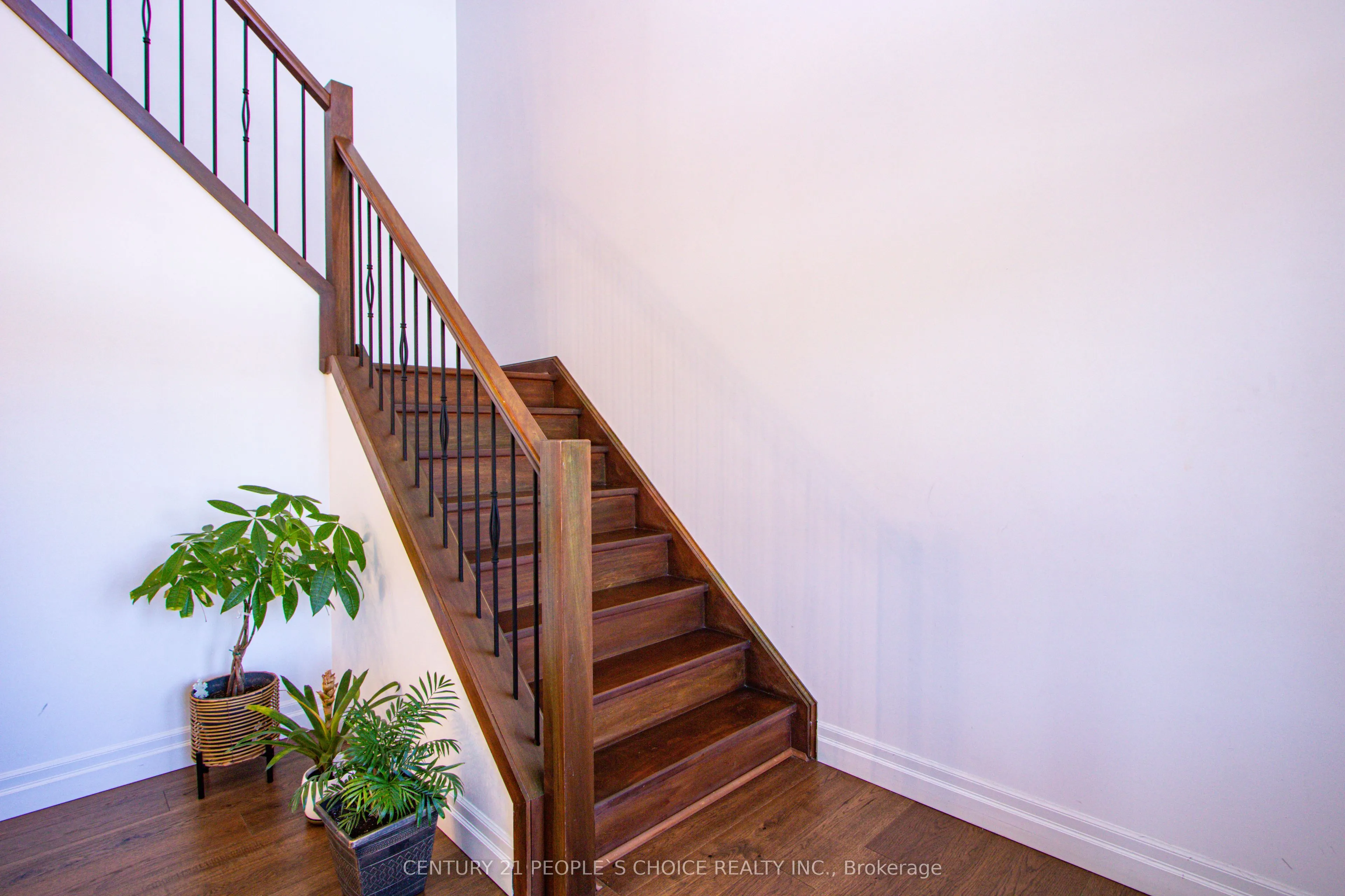 222 Boardwalk Way