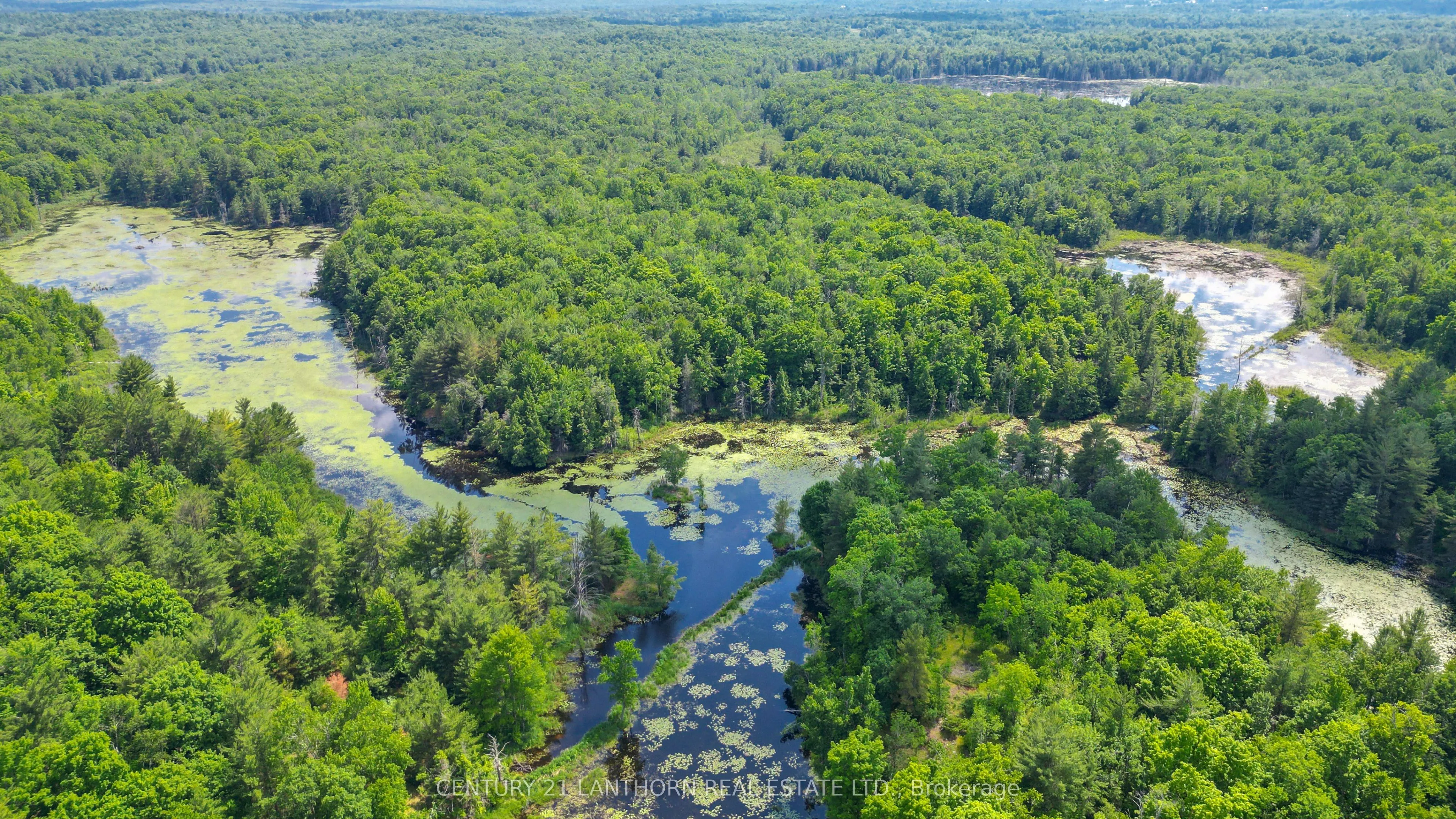 932 Hunt Club Road