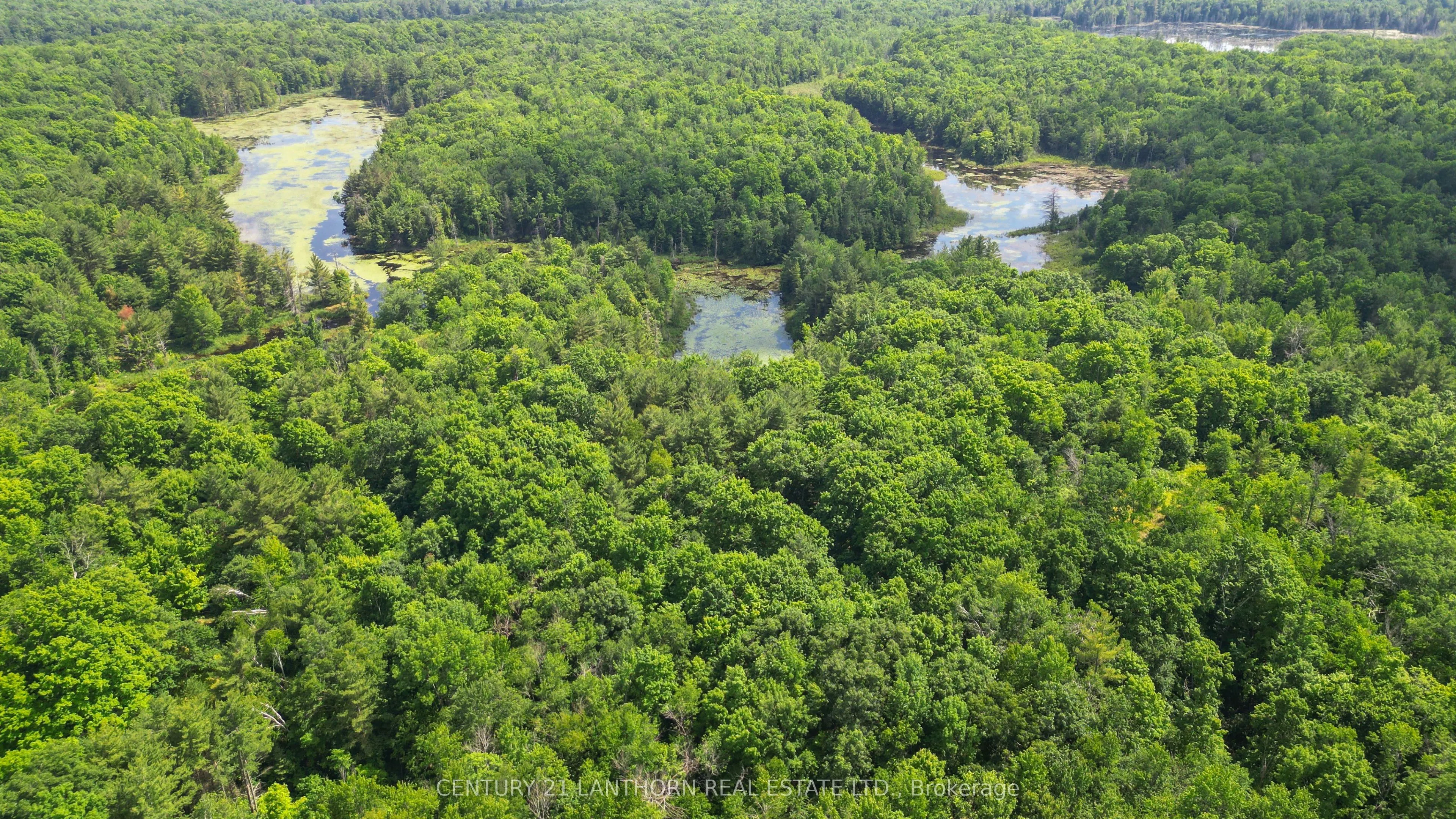 932 Hunt Club Road