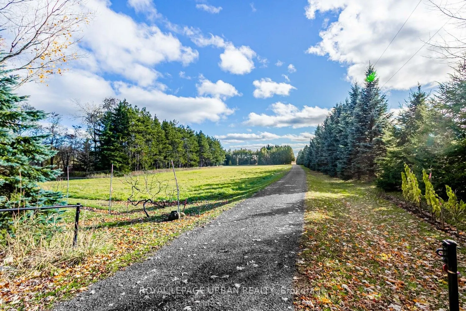 427371 25 Sideroad E