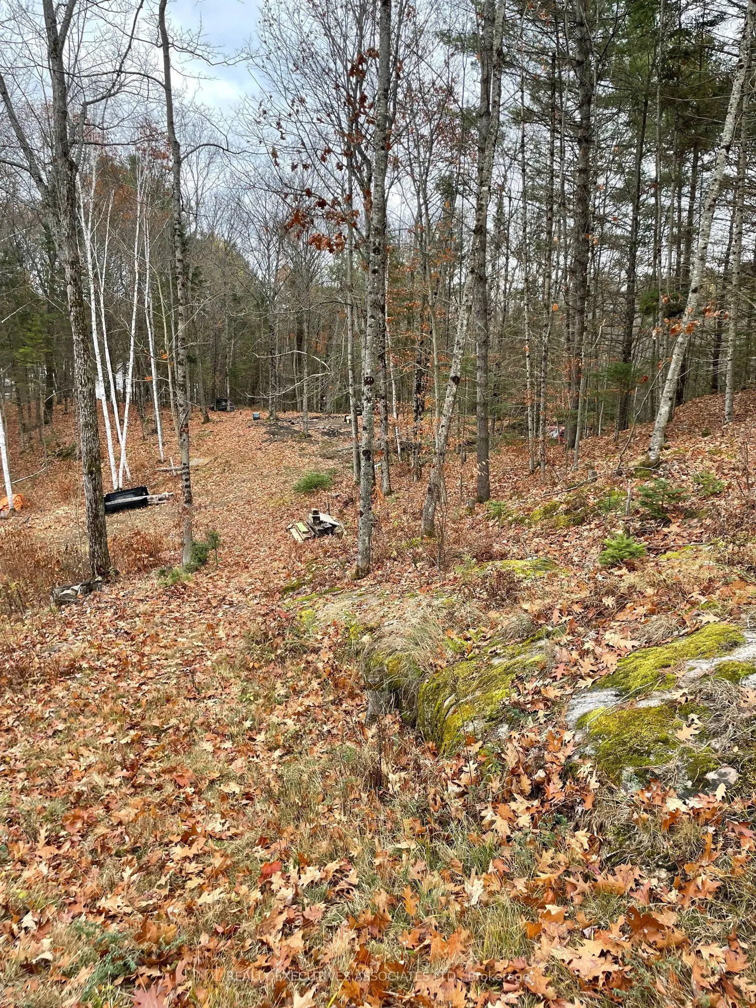 181 Chemaushgon Road