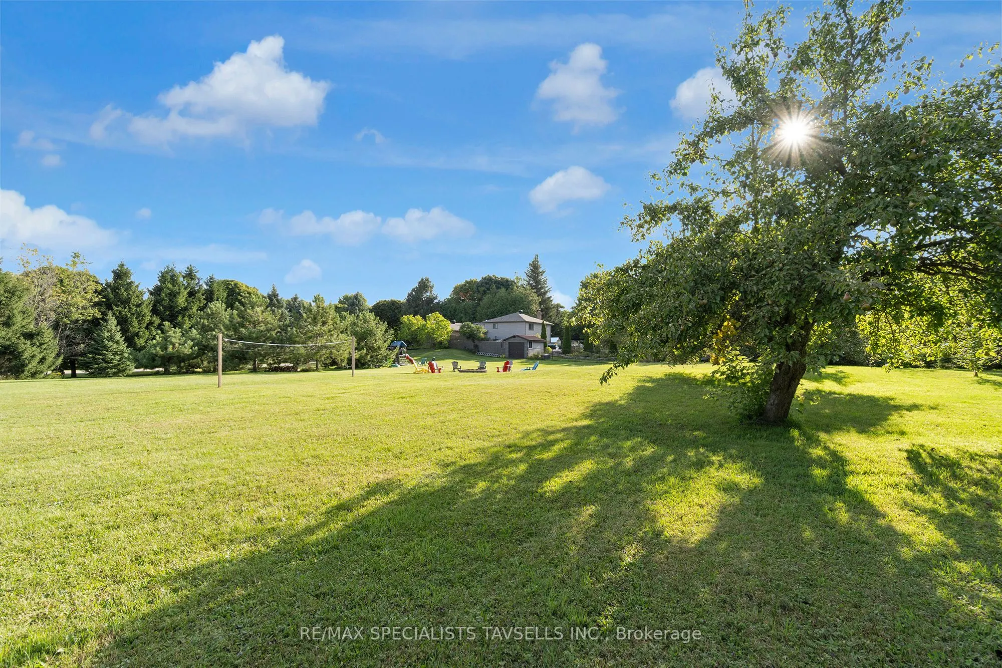 23 Mckibbon Avenue