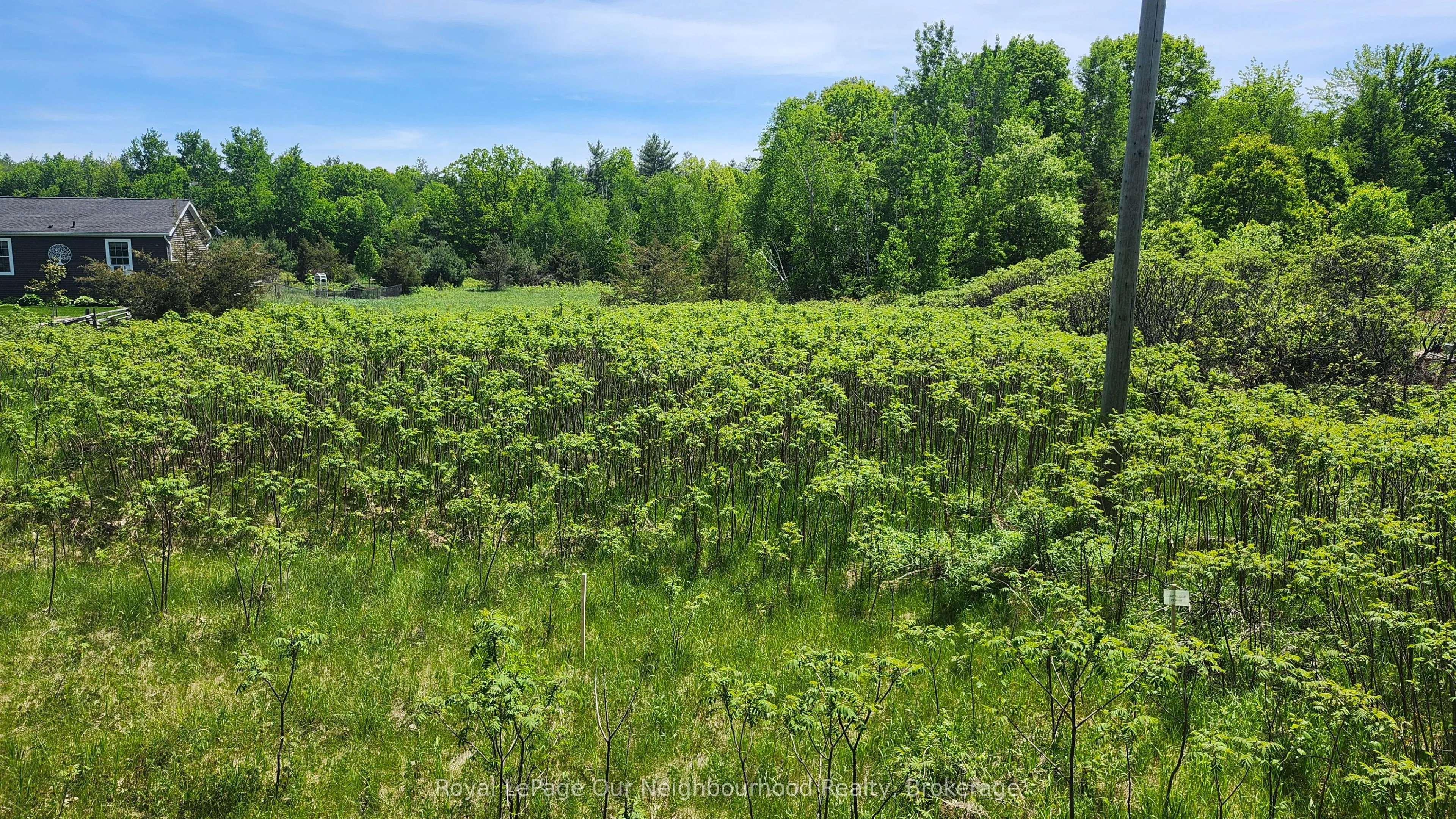 LOT 14 TRENT RIVER Road