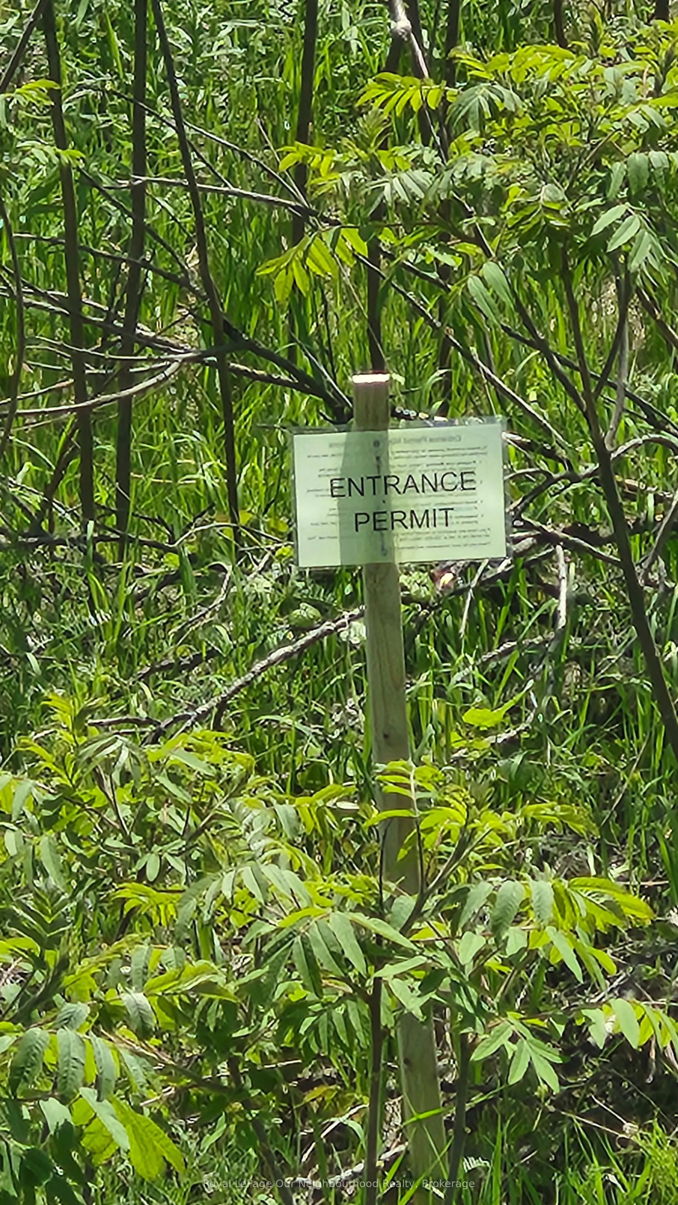 LOT 14 TRENT RIVER Road