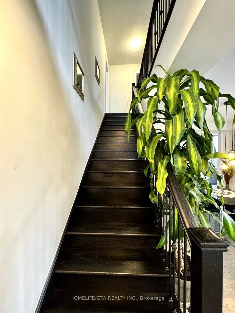 264 Broadacre Drive