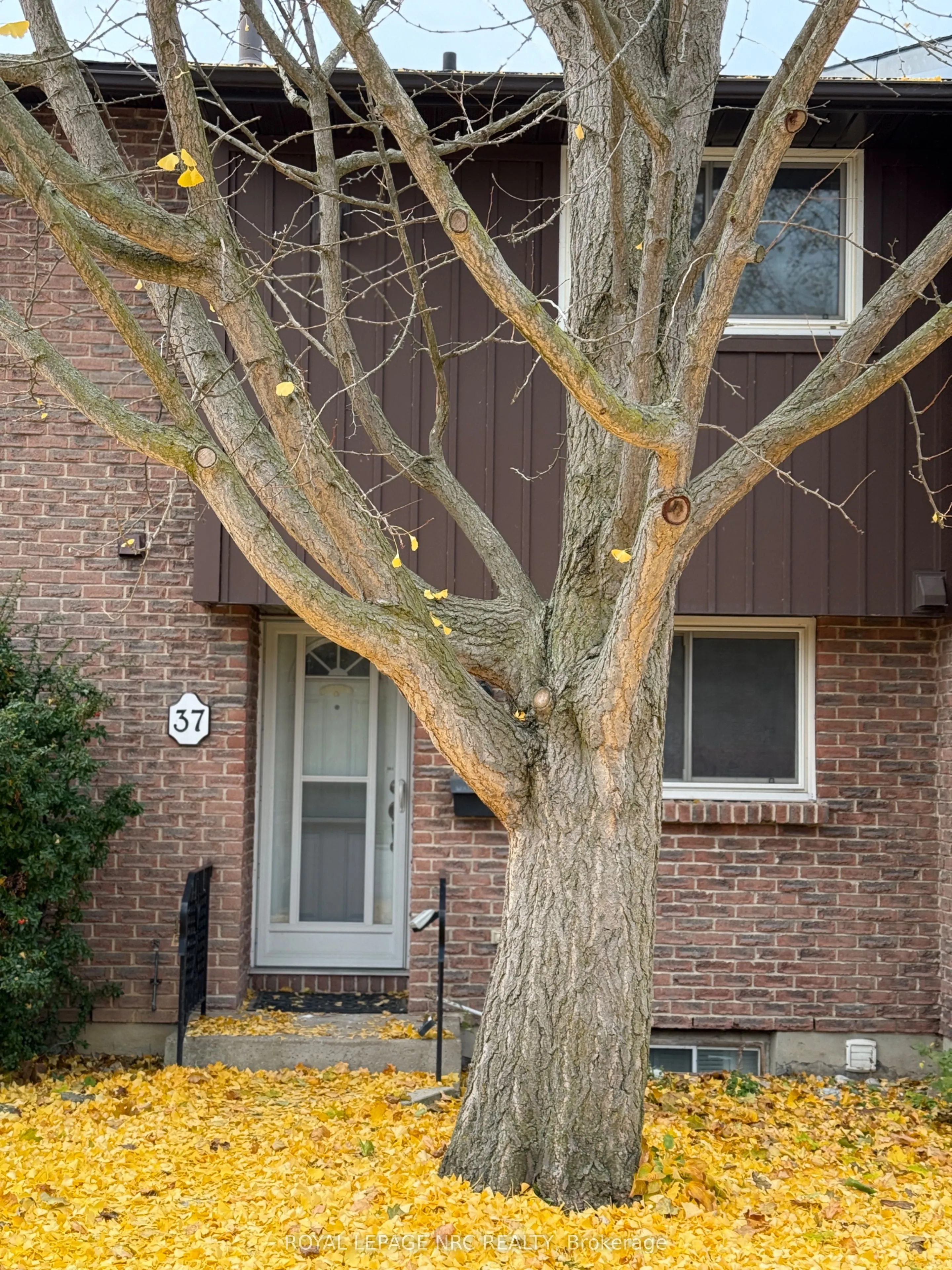 151 Linwell Road #37