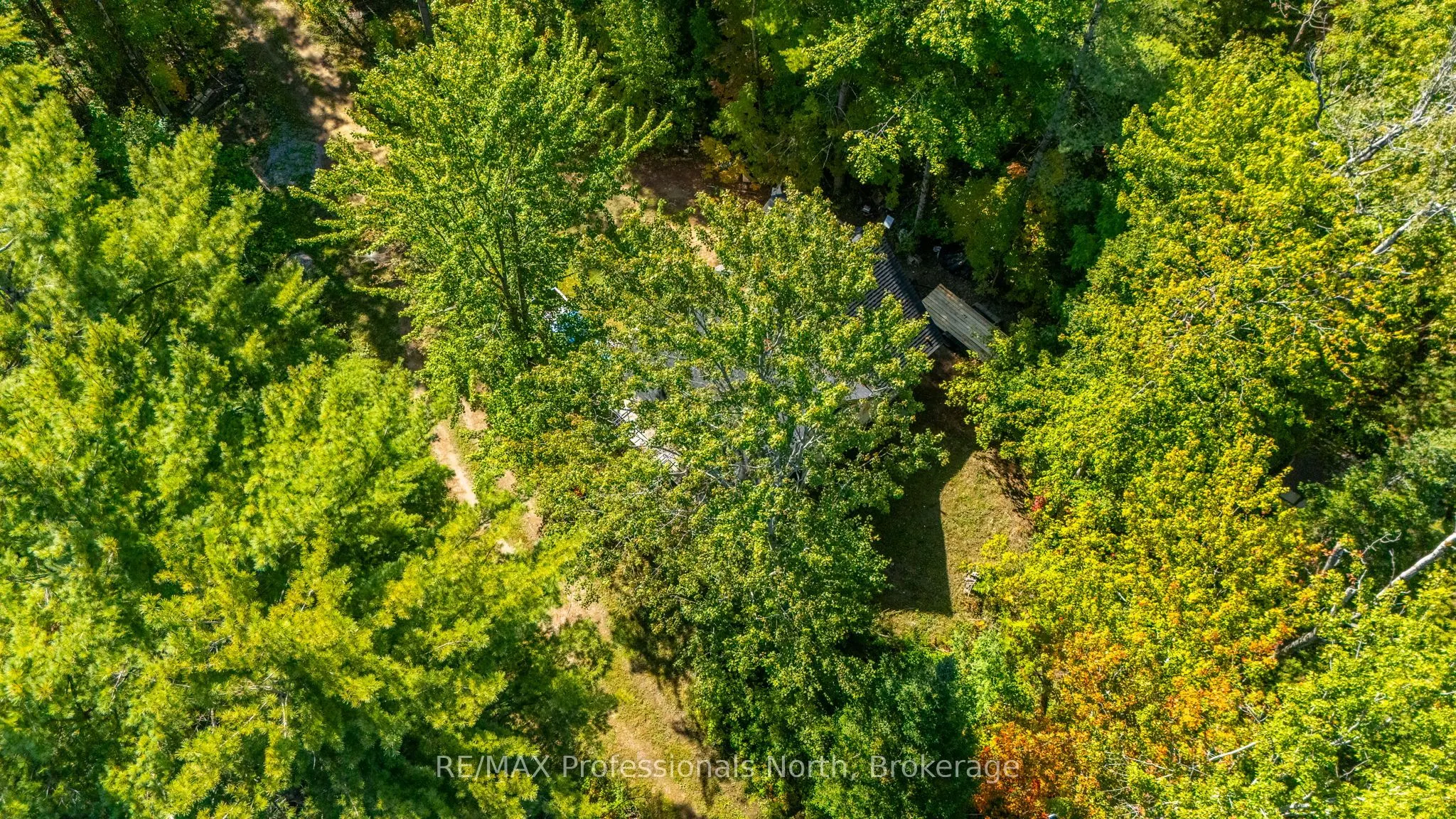 319 Boundary Road