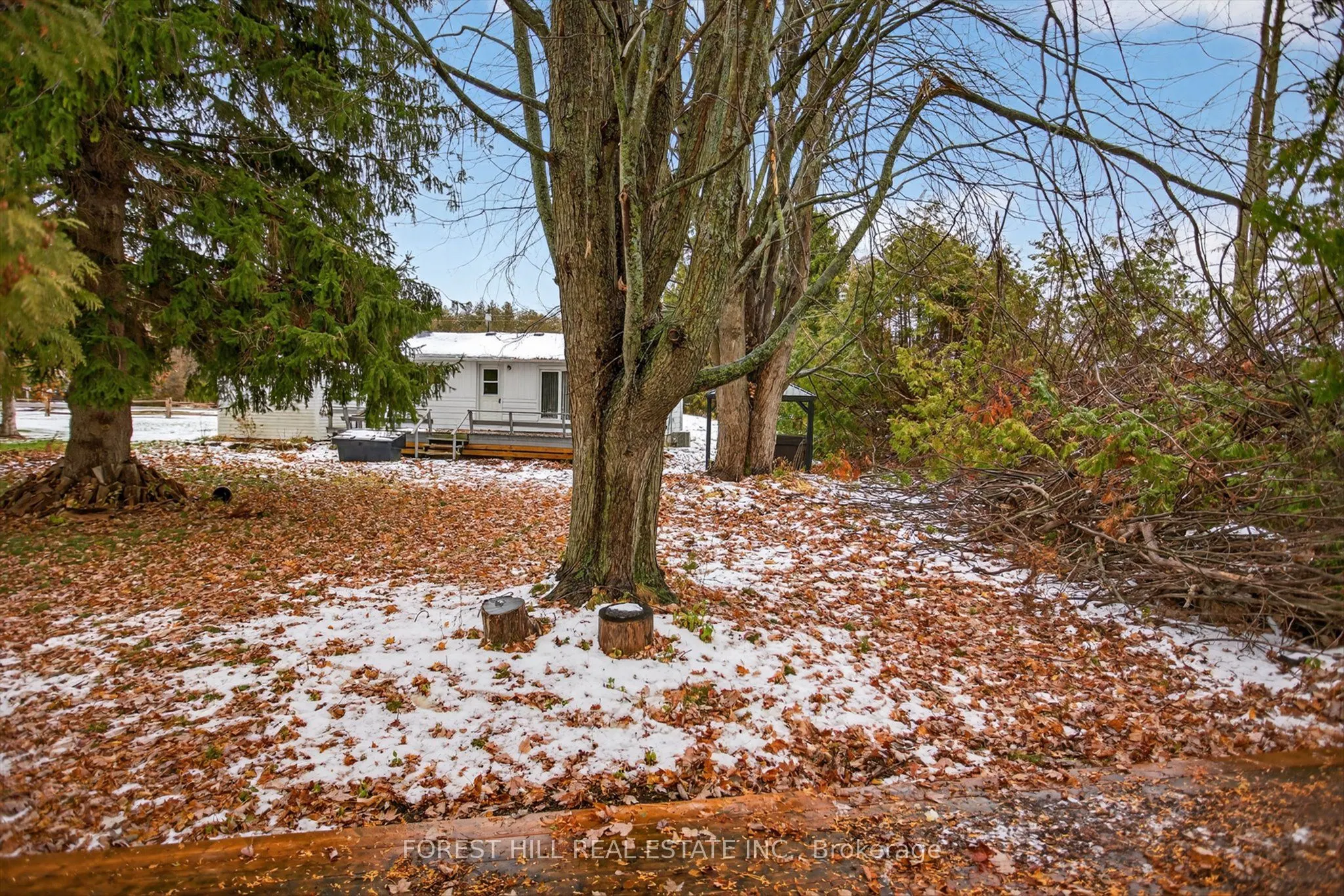 69 Blythe Shore Road