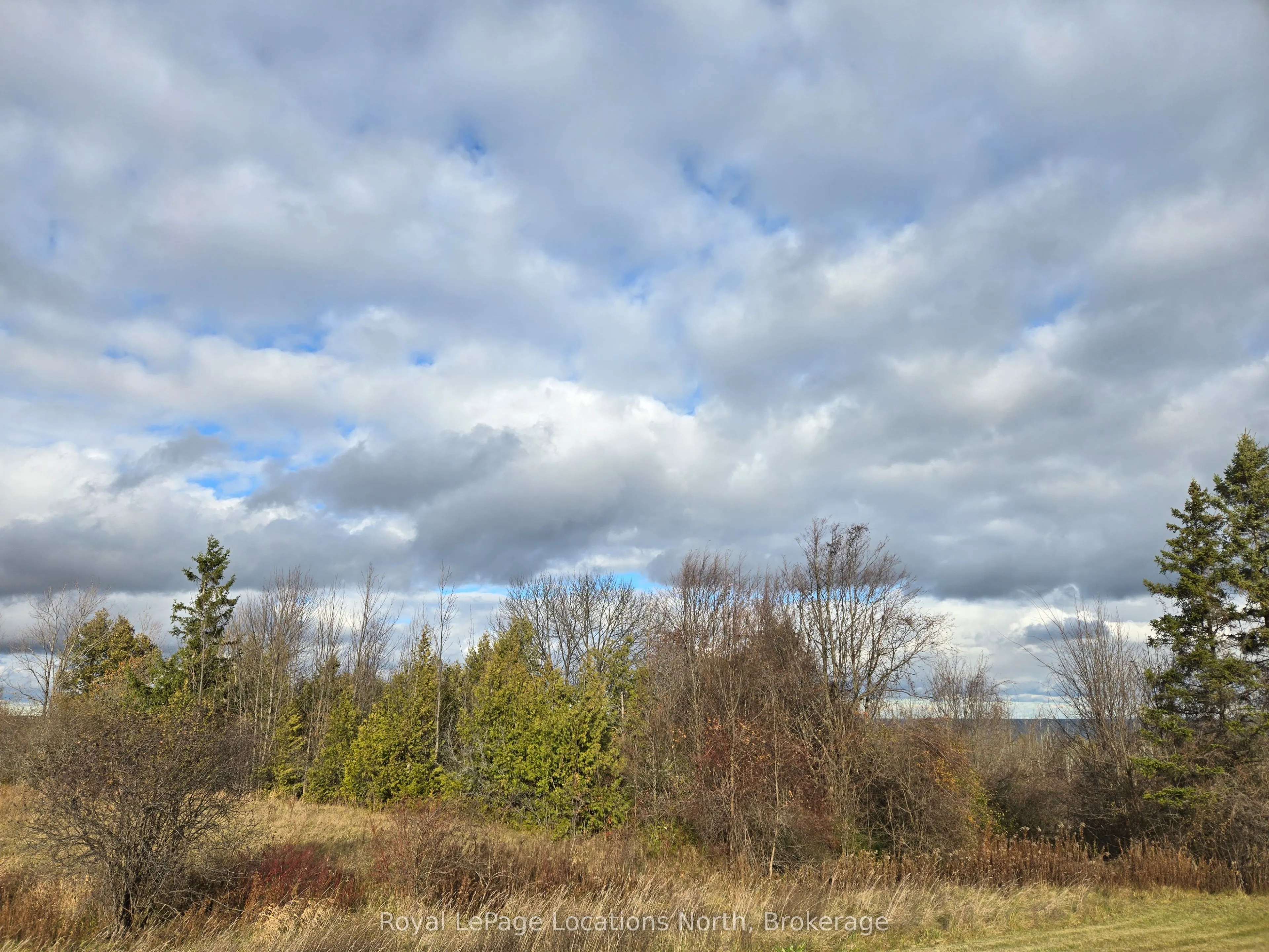 135 Scotia Drive