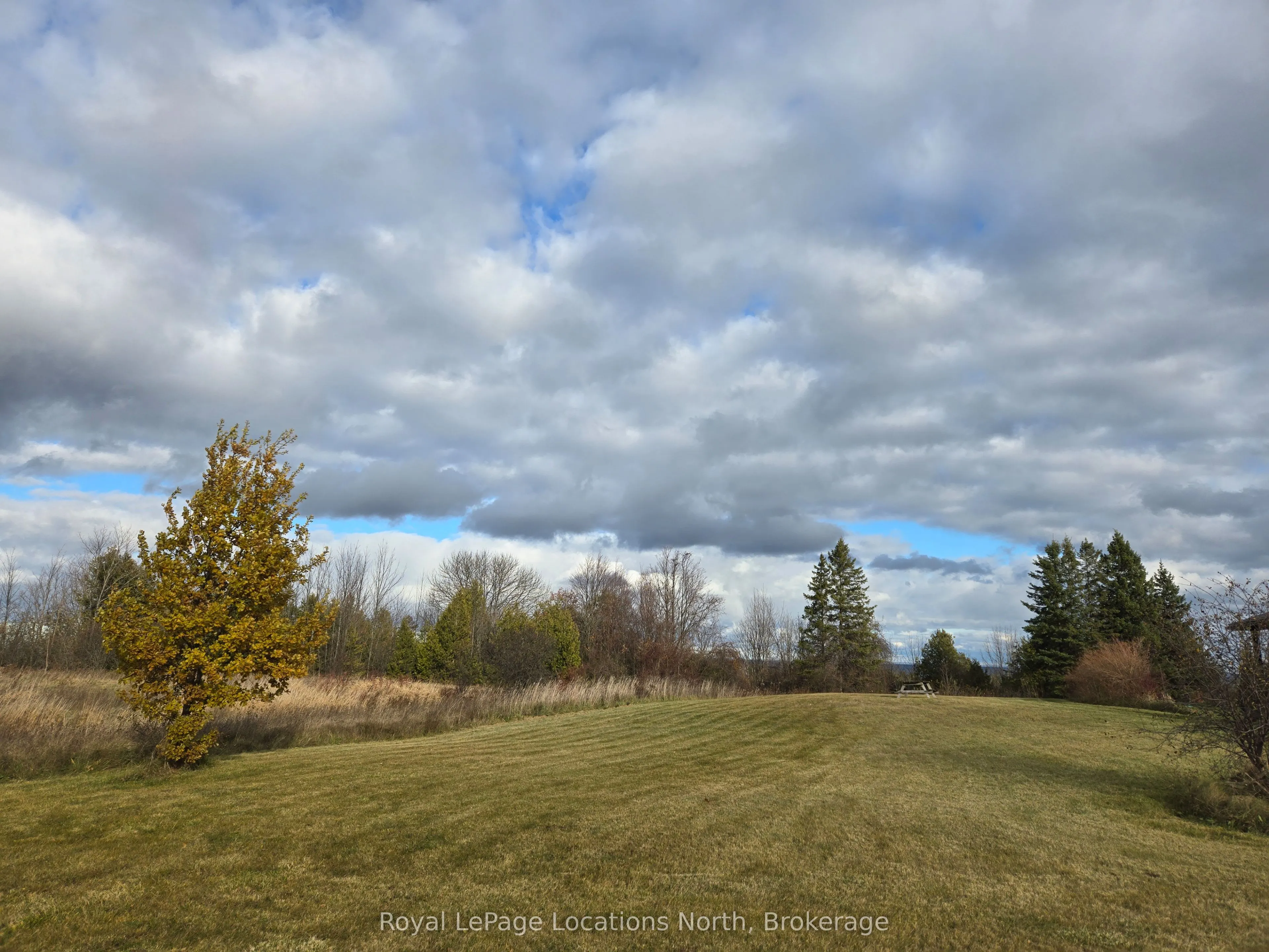 135 Scotia Drive