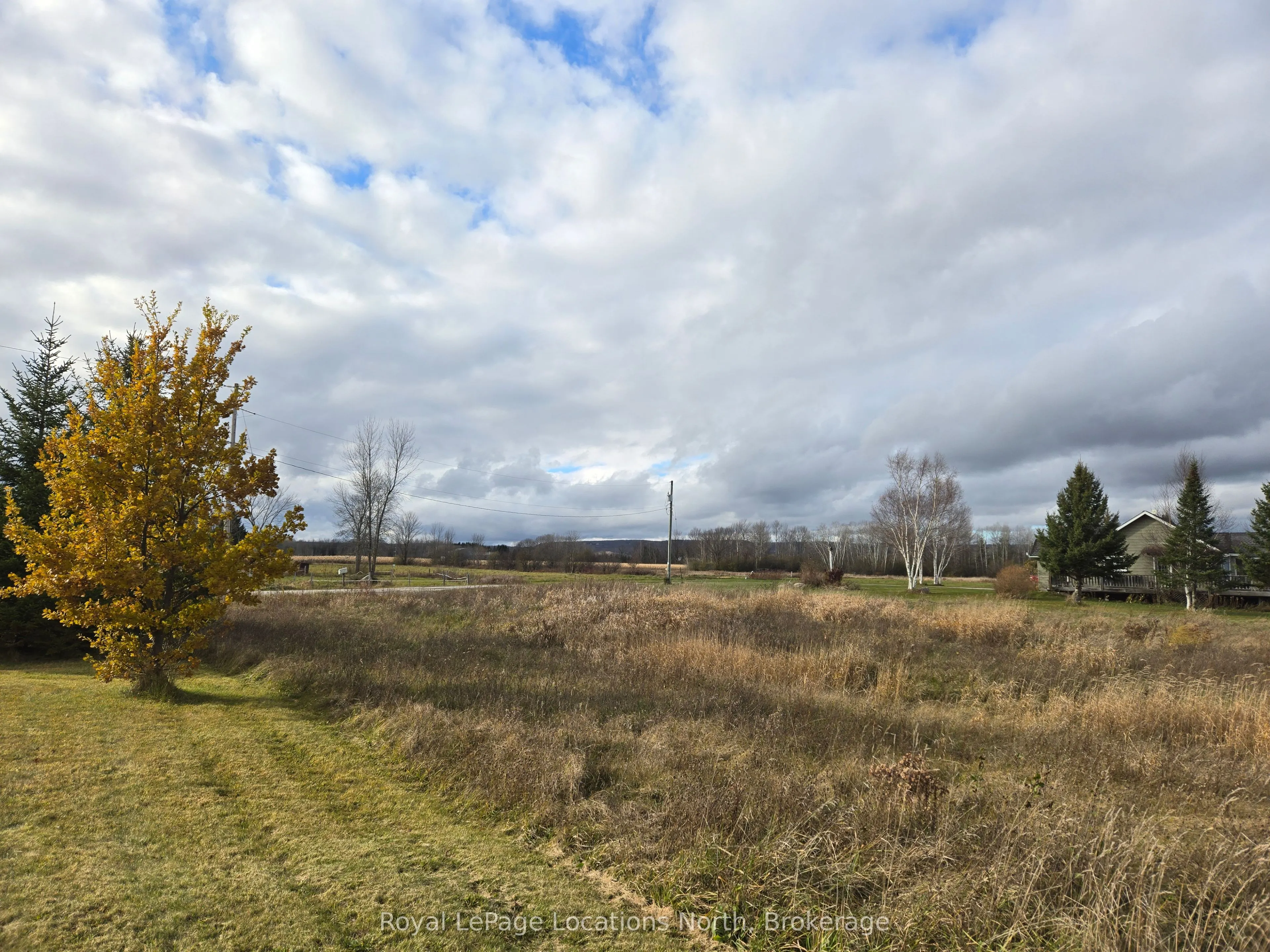 135 Scotia Drive