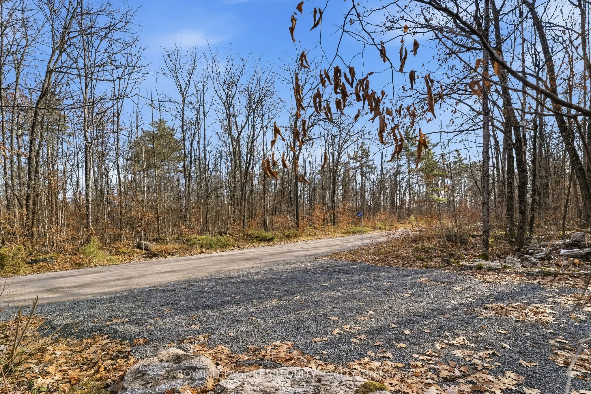 64 Maple Road