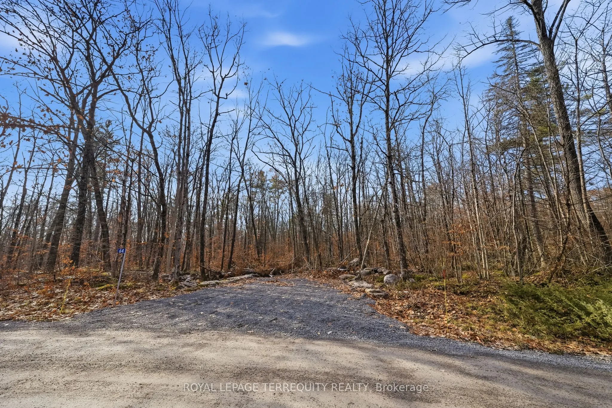 64 Maple Road