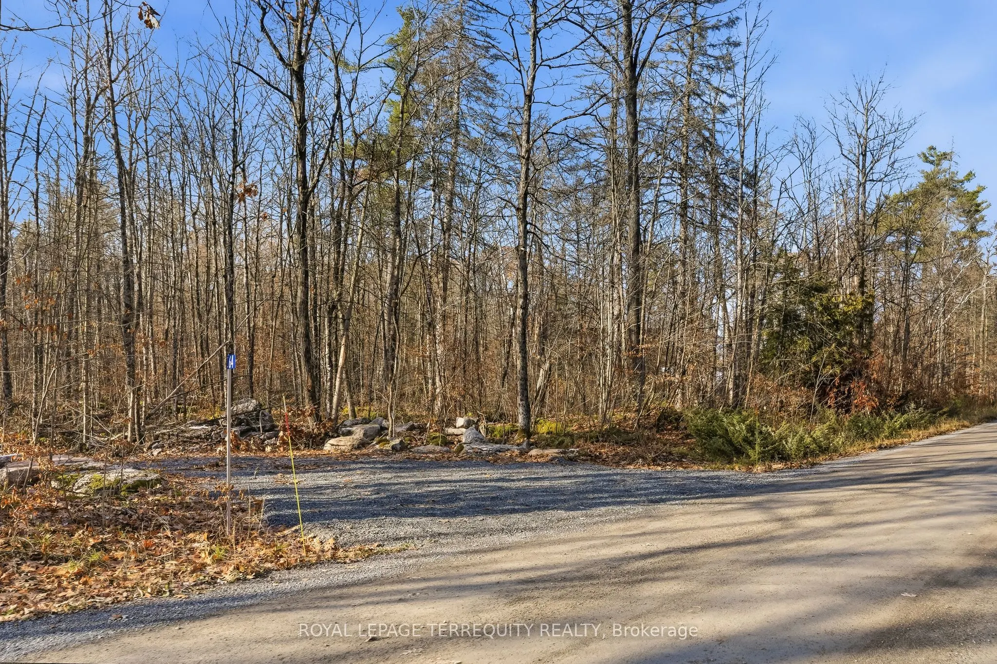 64 Maple Road