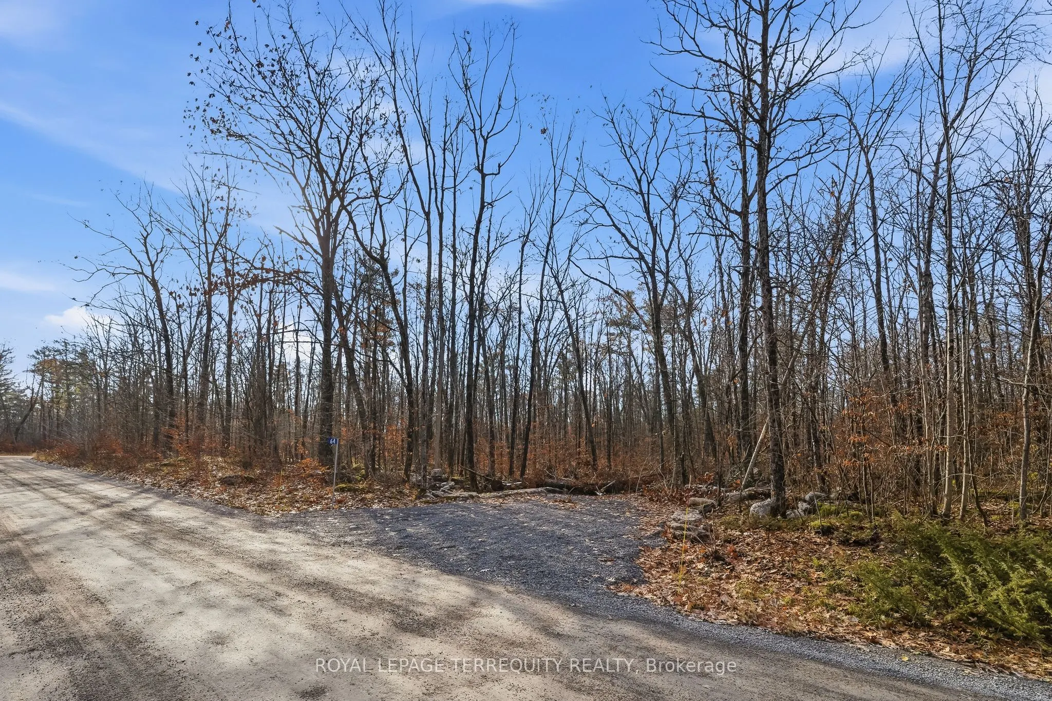 64 Maple Road