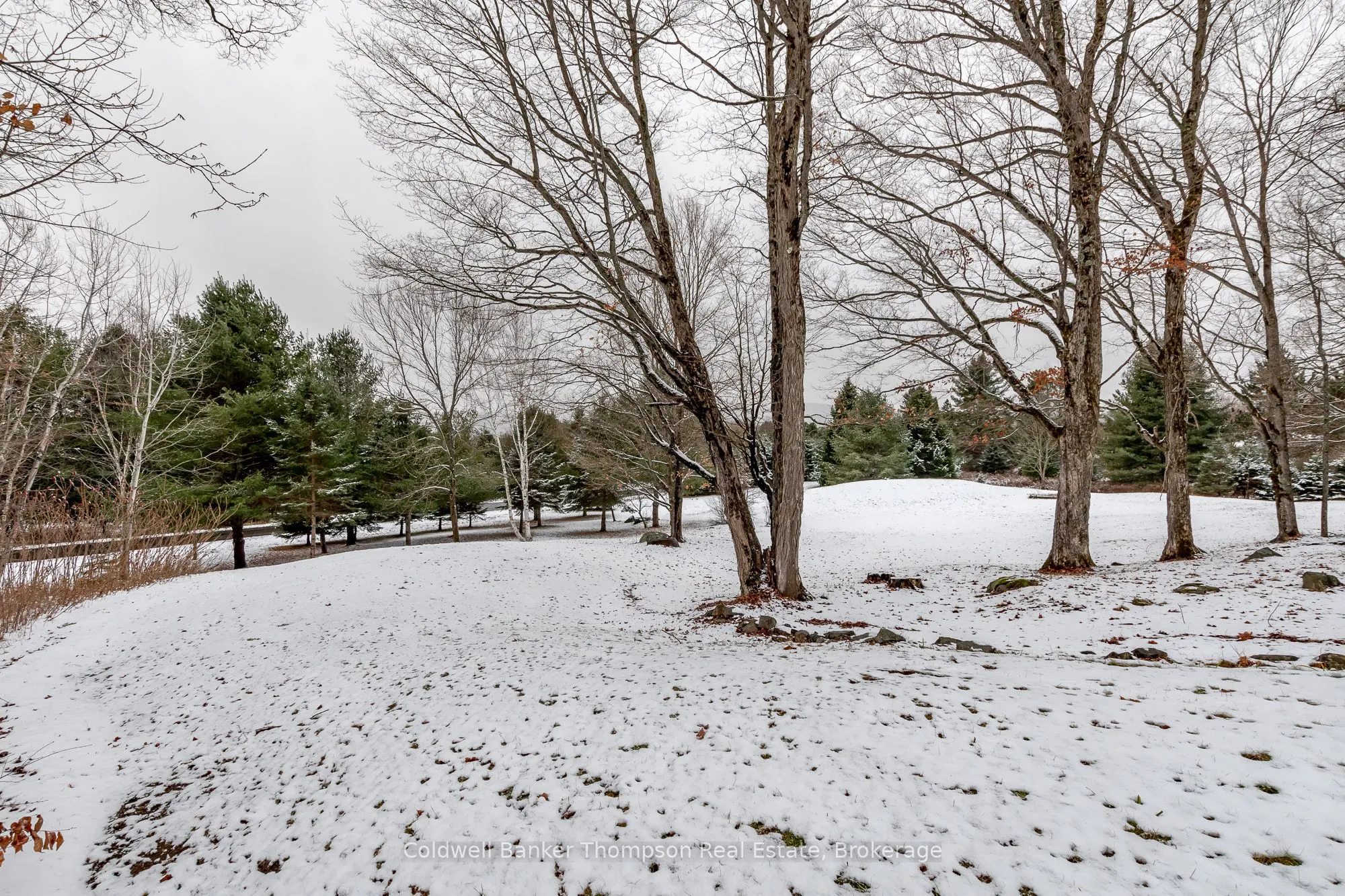 1259 Golf Course Road