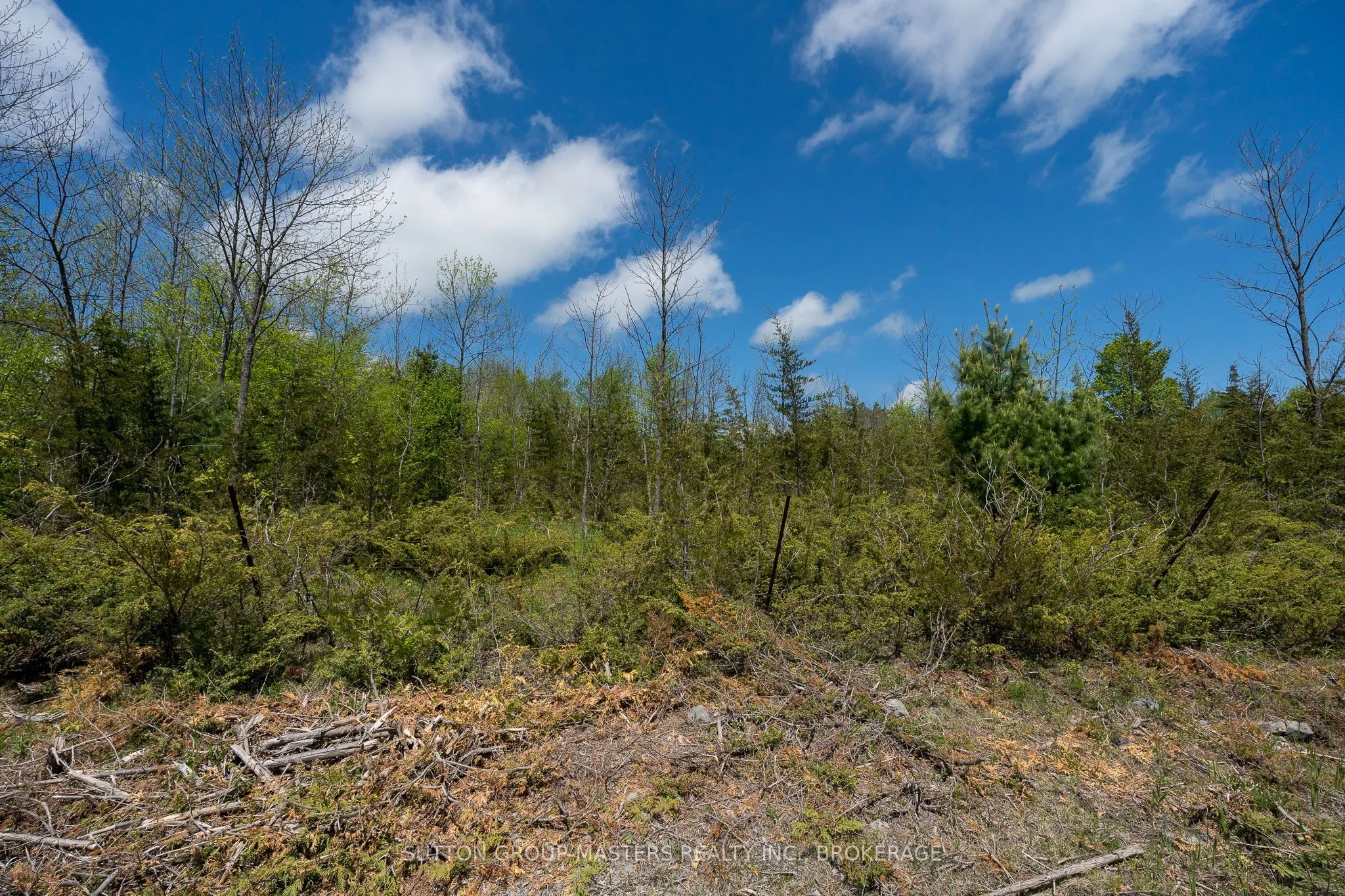 00 McCutcheon Road